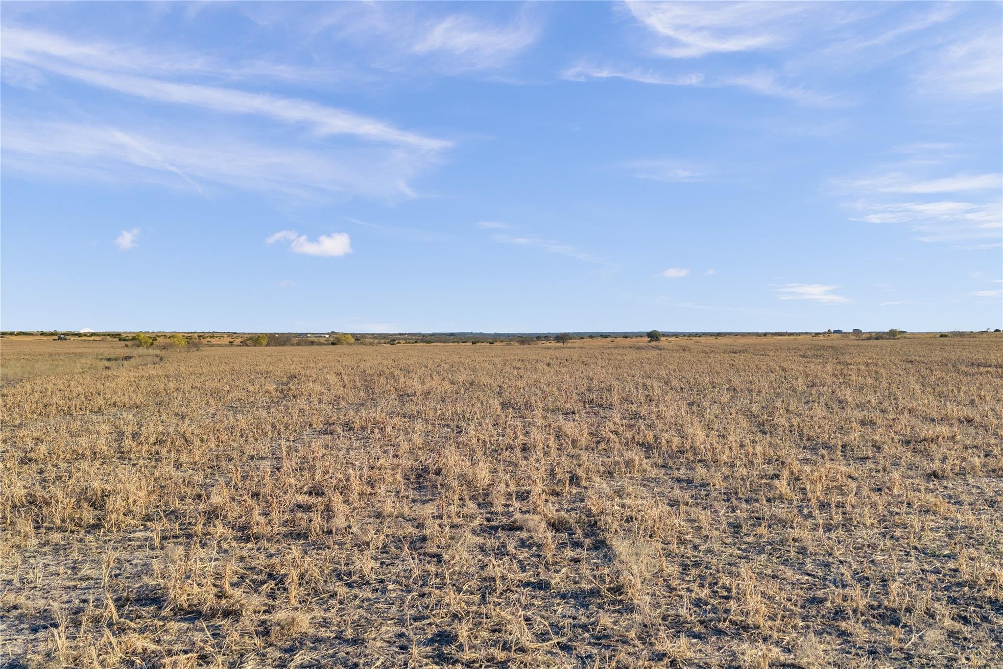 11064 County Road 210 Rd Property Photo 25