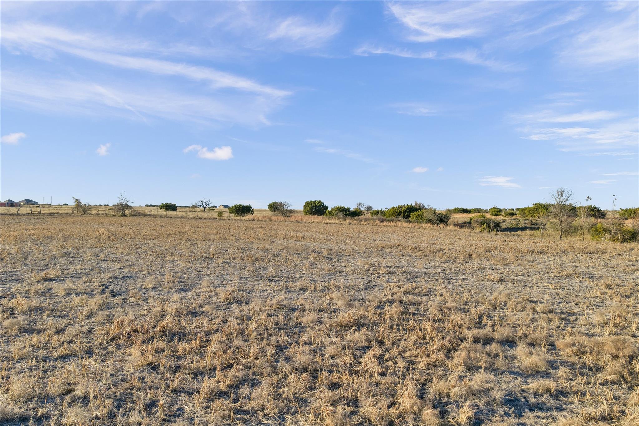 11064 County Road 210 Rd Property Photo 27