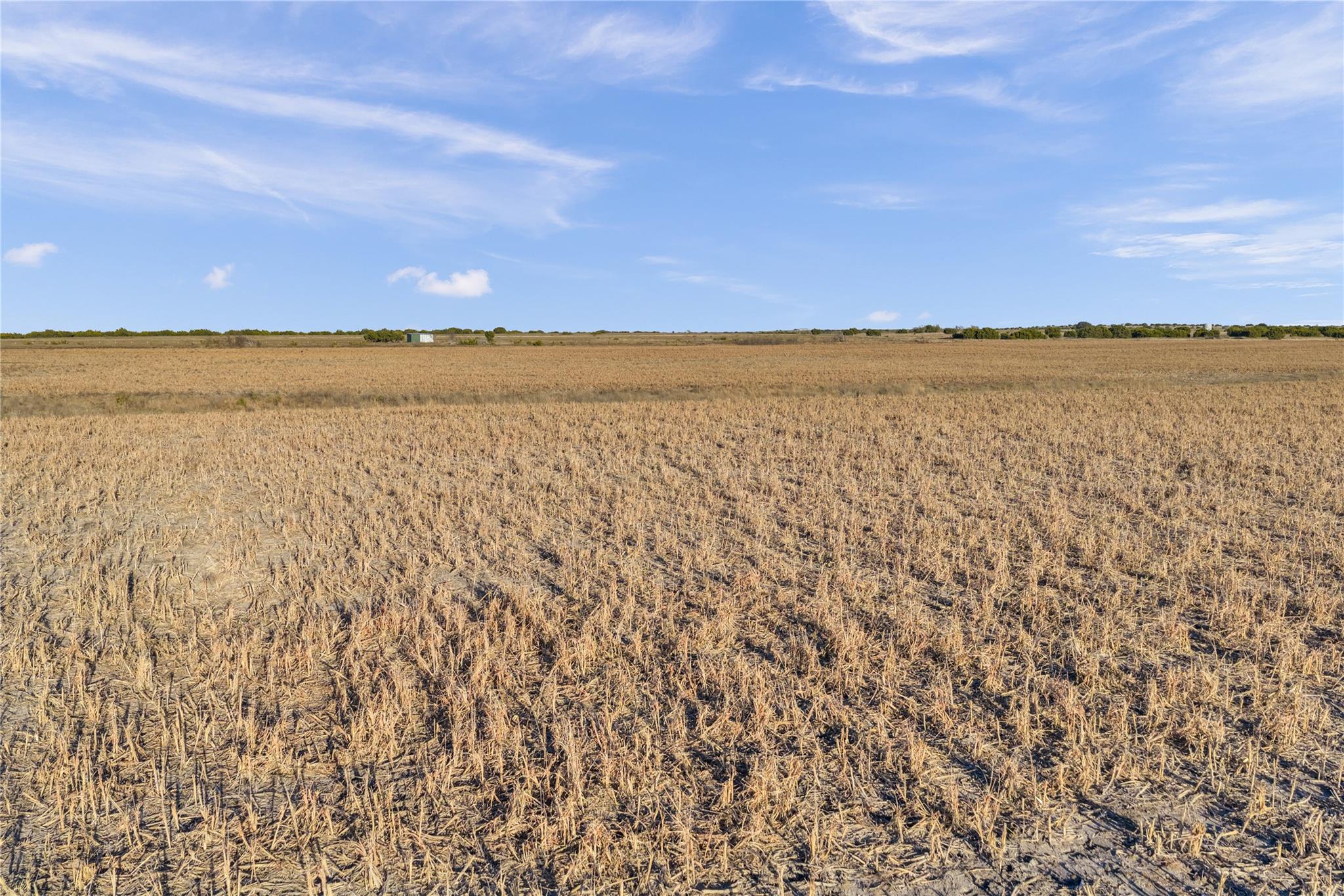 11064 County Road 210 Rd Property Photo 29