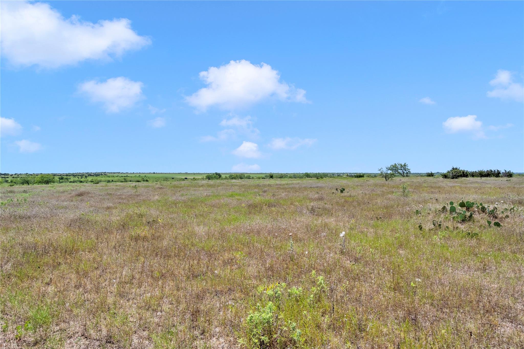 11064 County Road 210 Rd Property Photo 39