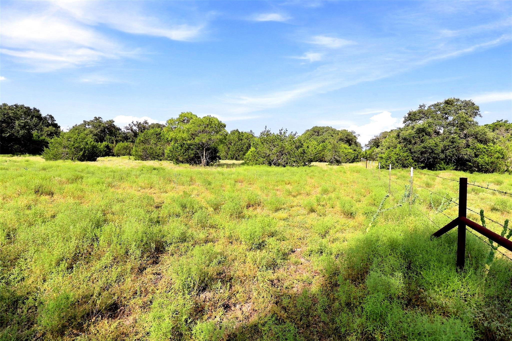 3560 County Road 236 None Property Photo 9
