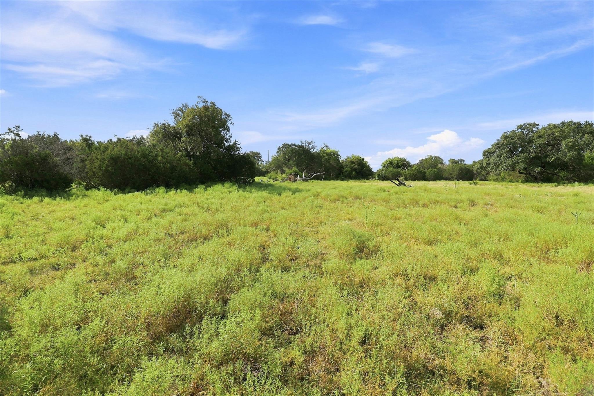 3560 County Road 236 None Property Photo 10
