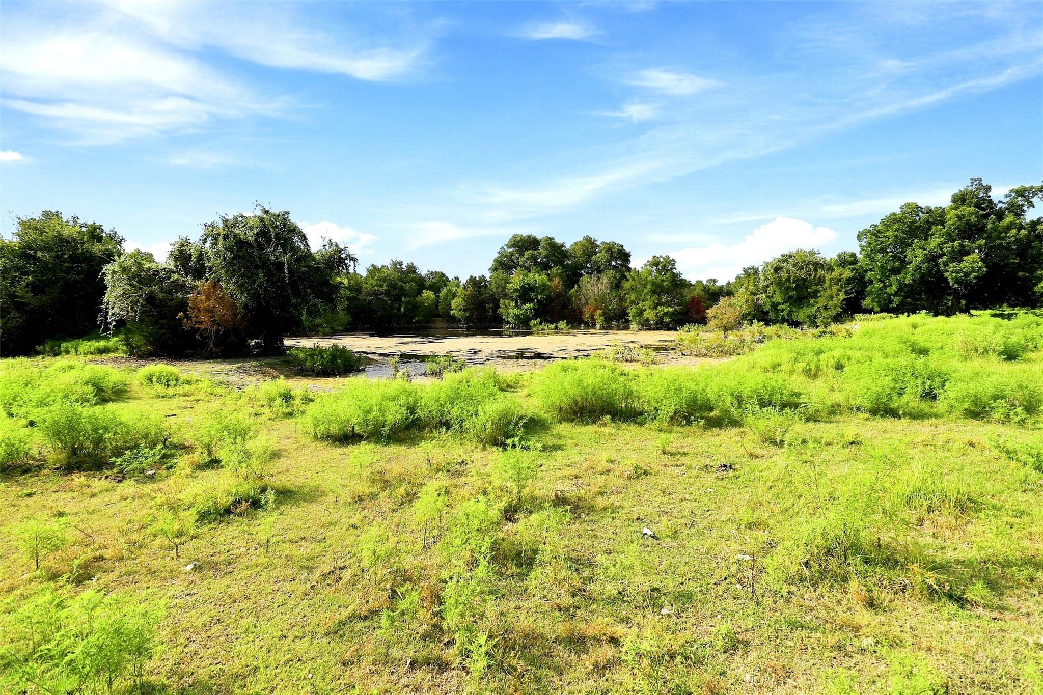 3560 County Road 236 None Property Photo 11
