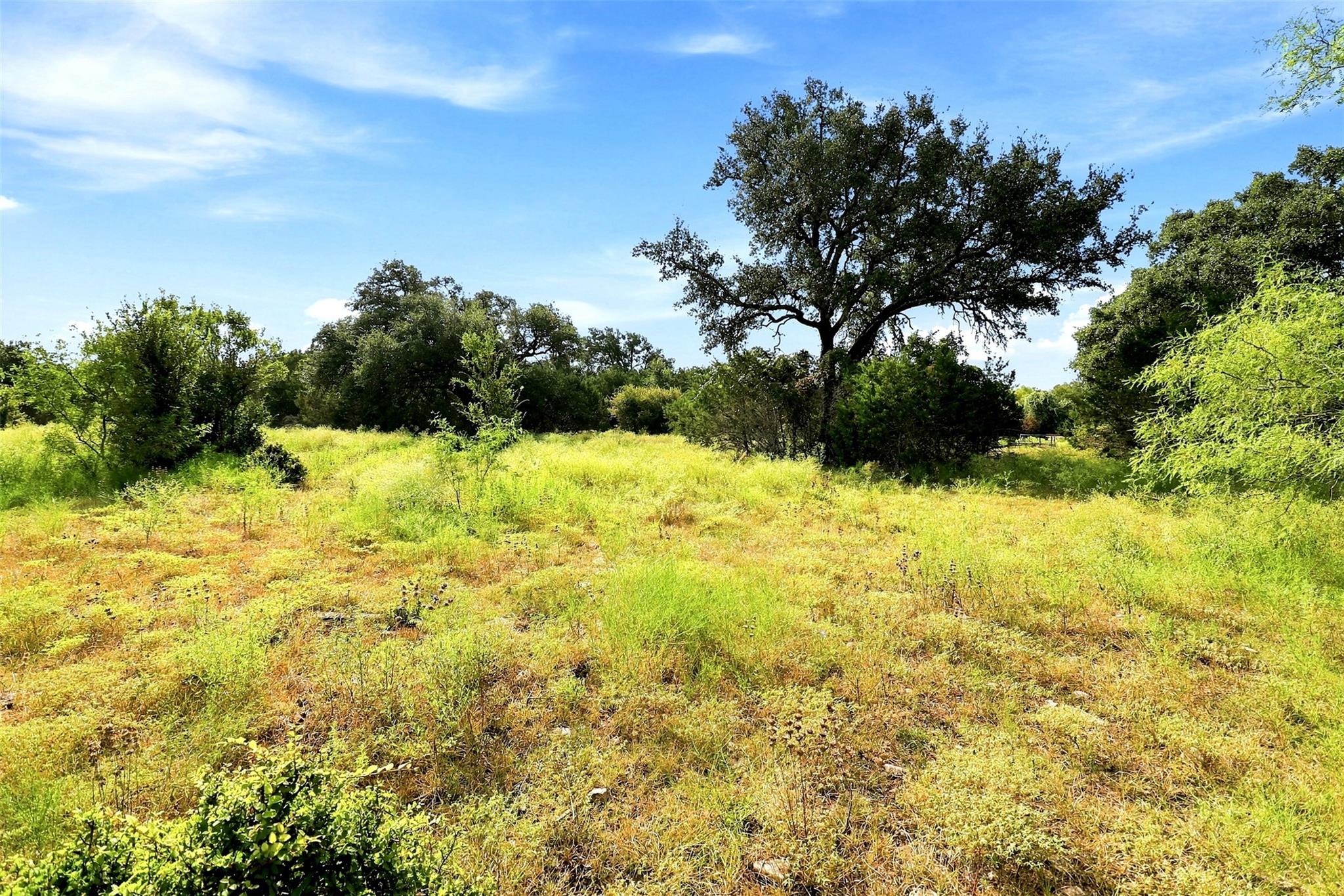 3560 County Road 236 None Property Photo 16