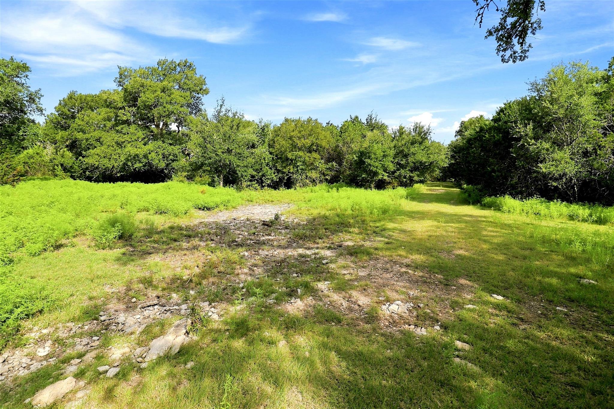 3560 County Road 236 None Property Photo 18