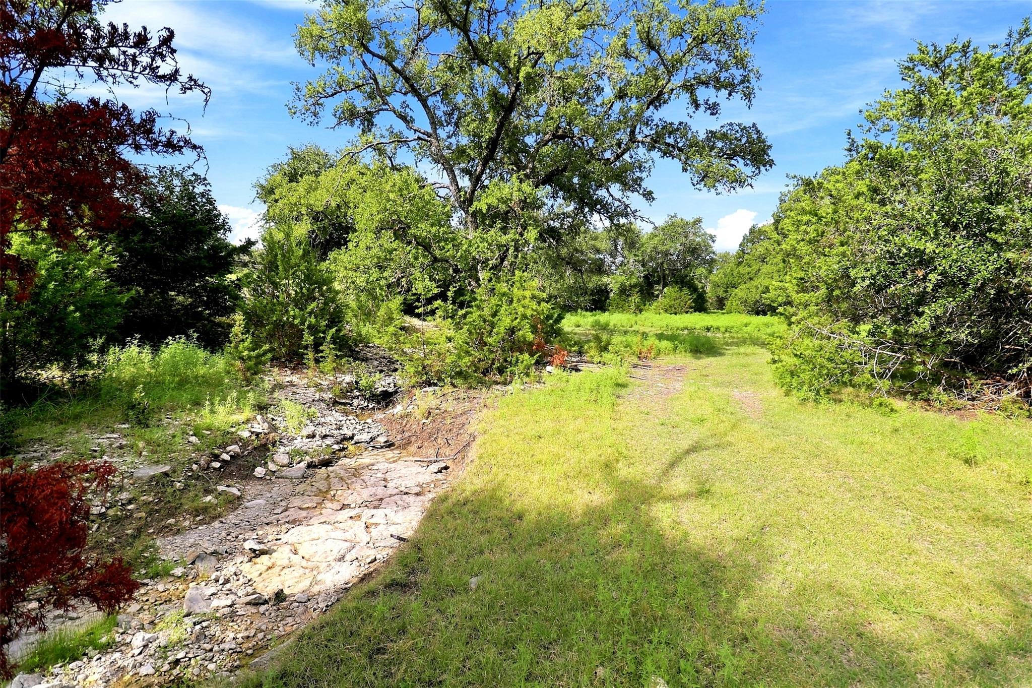 3560 County Road 236 None Property Photo 22
