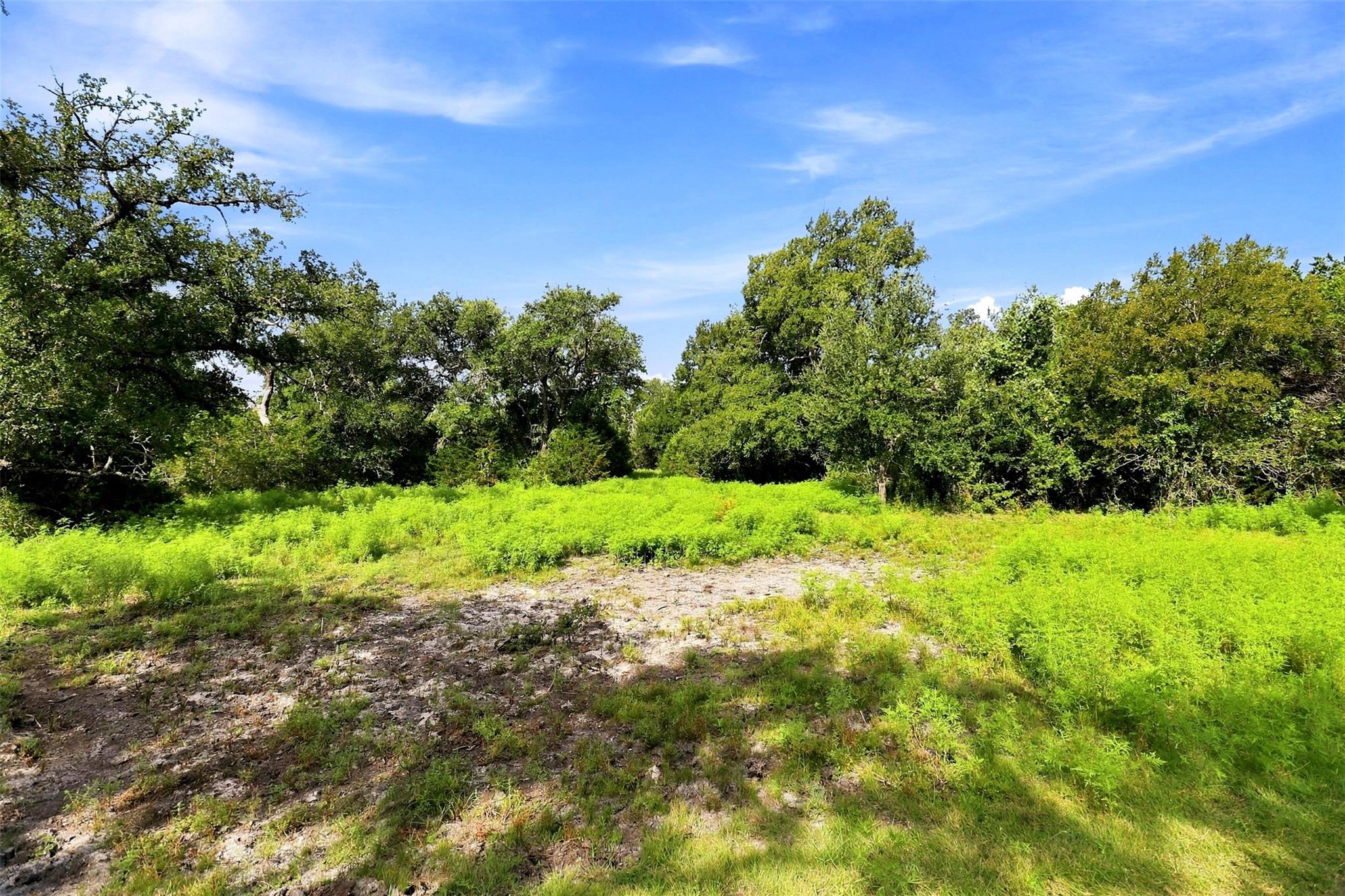 3560 County Road 236 None Property Photo 24
