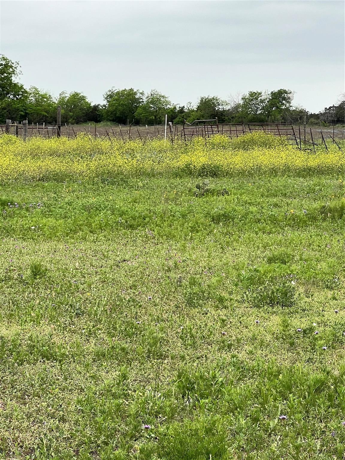 Tbd County Rd 219 Property Photo 2