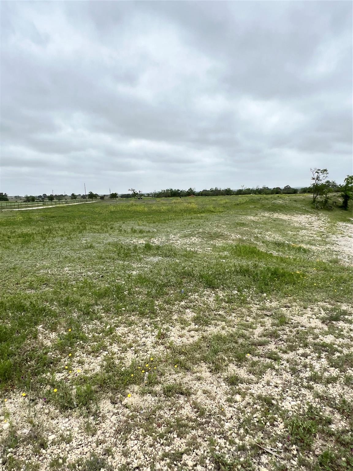 Tbd County Rd 219 Property Photo 4