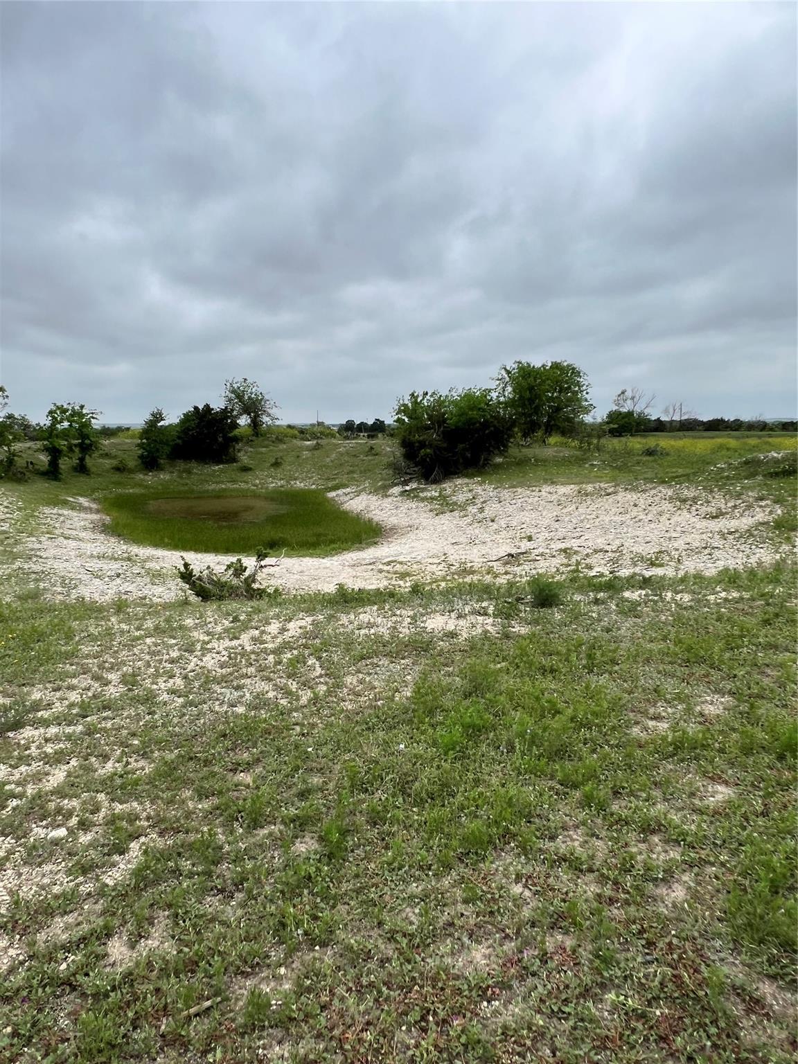 Tbd County Rd 219 Property Photo 5