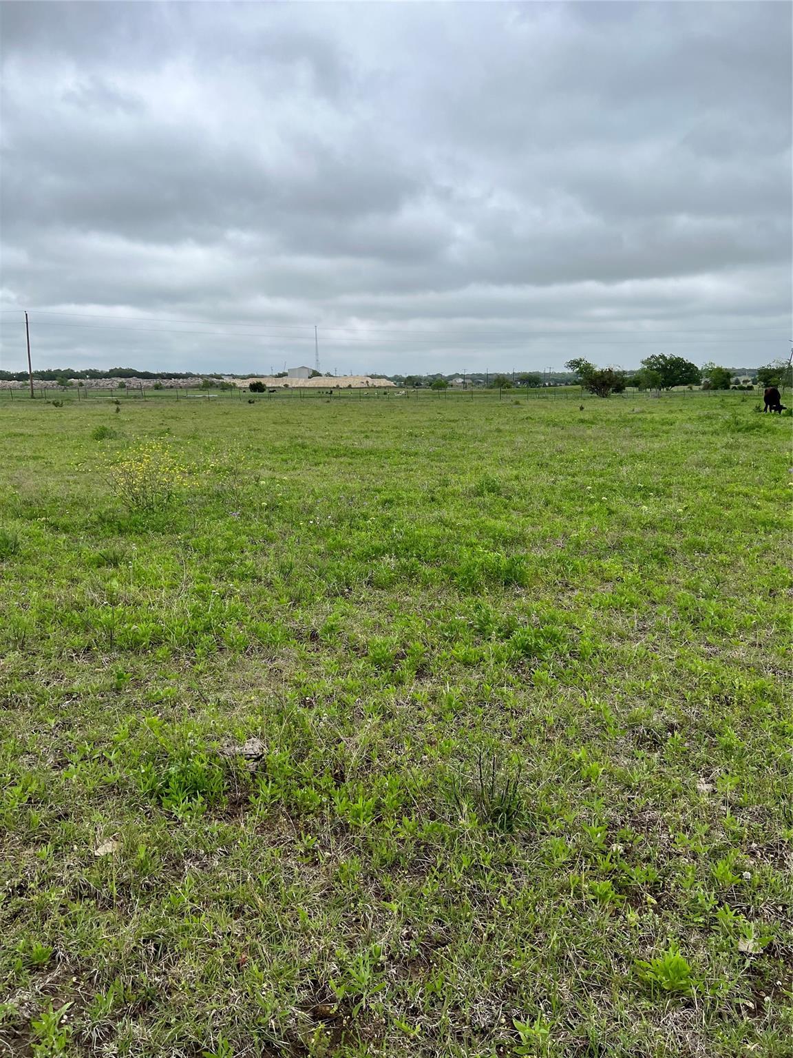 Tbd County Rd 219 Property Photo 6