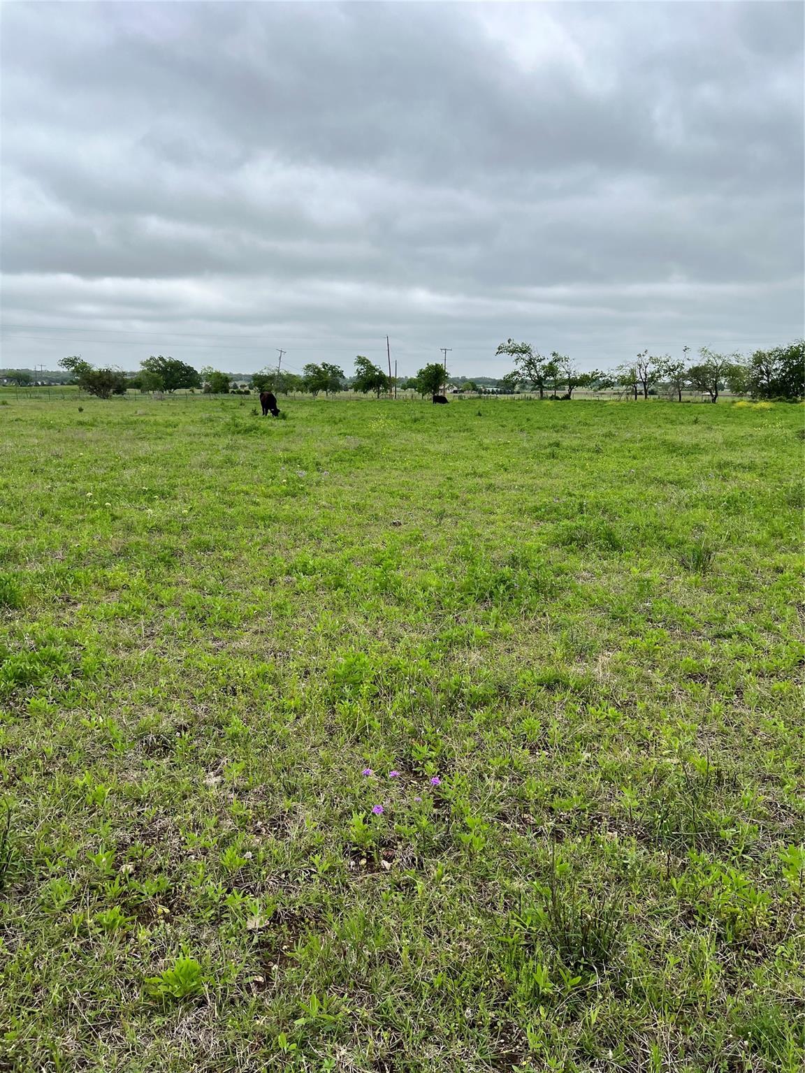Tbd County Rd 219 Property Photo 7