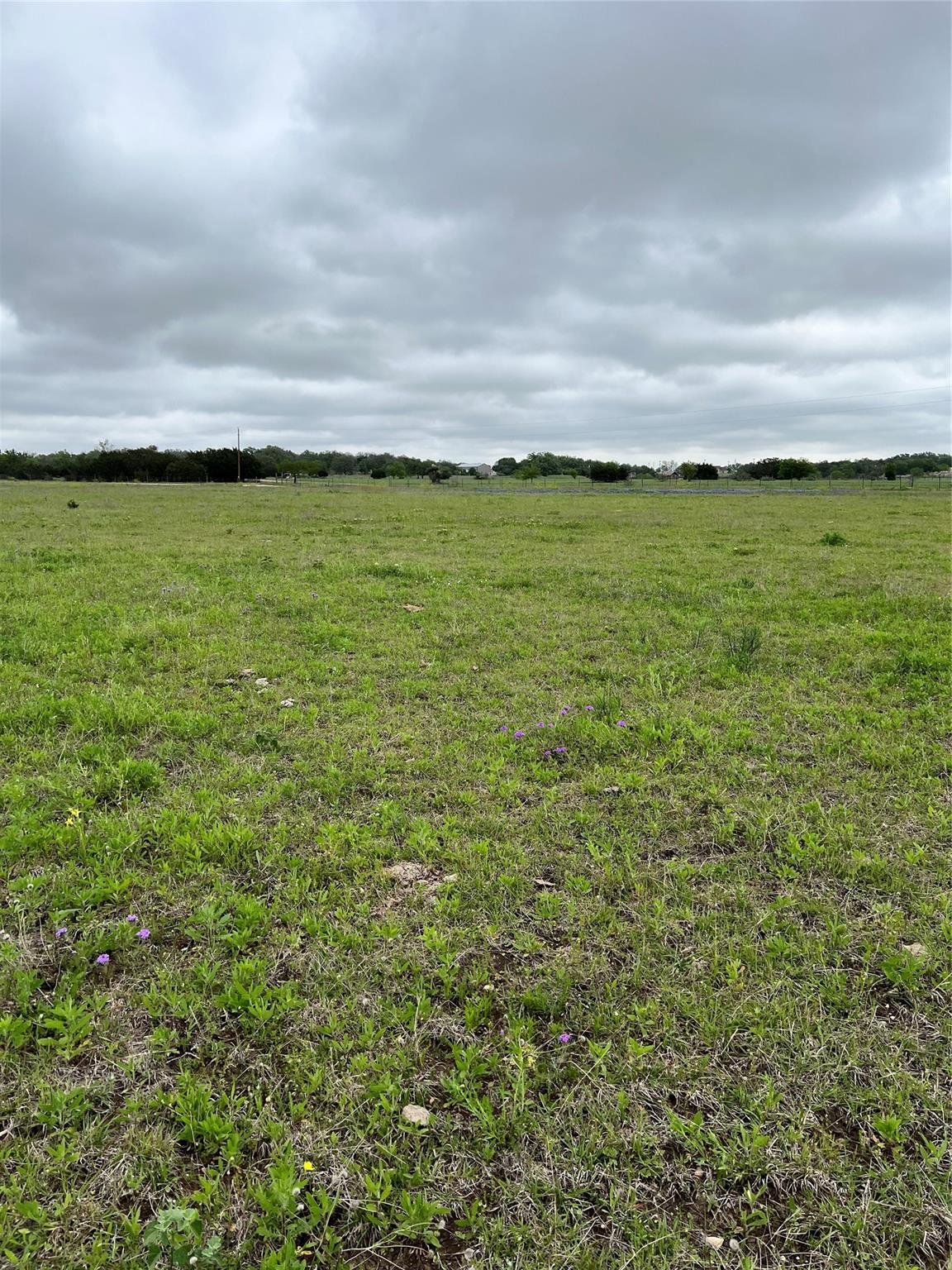 Tbd County Rd 219 Property Photo 8