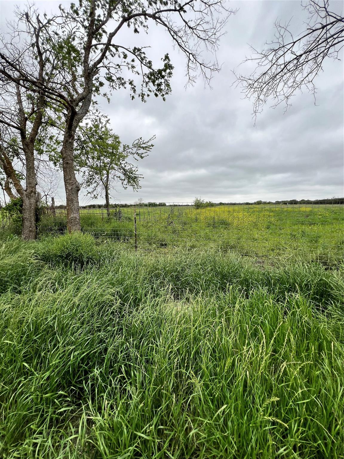 Tbd County Rd 219 Property Photo 9