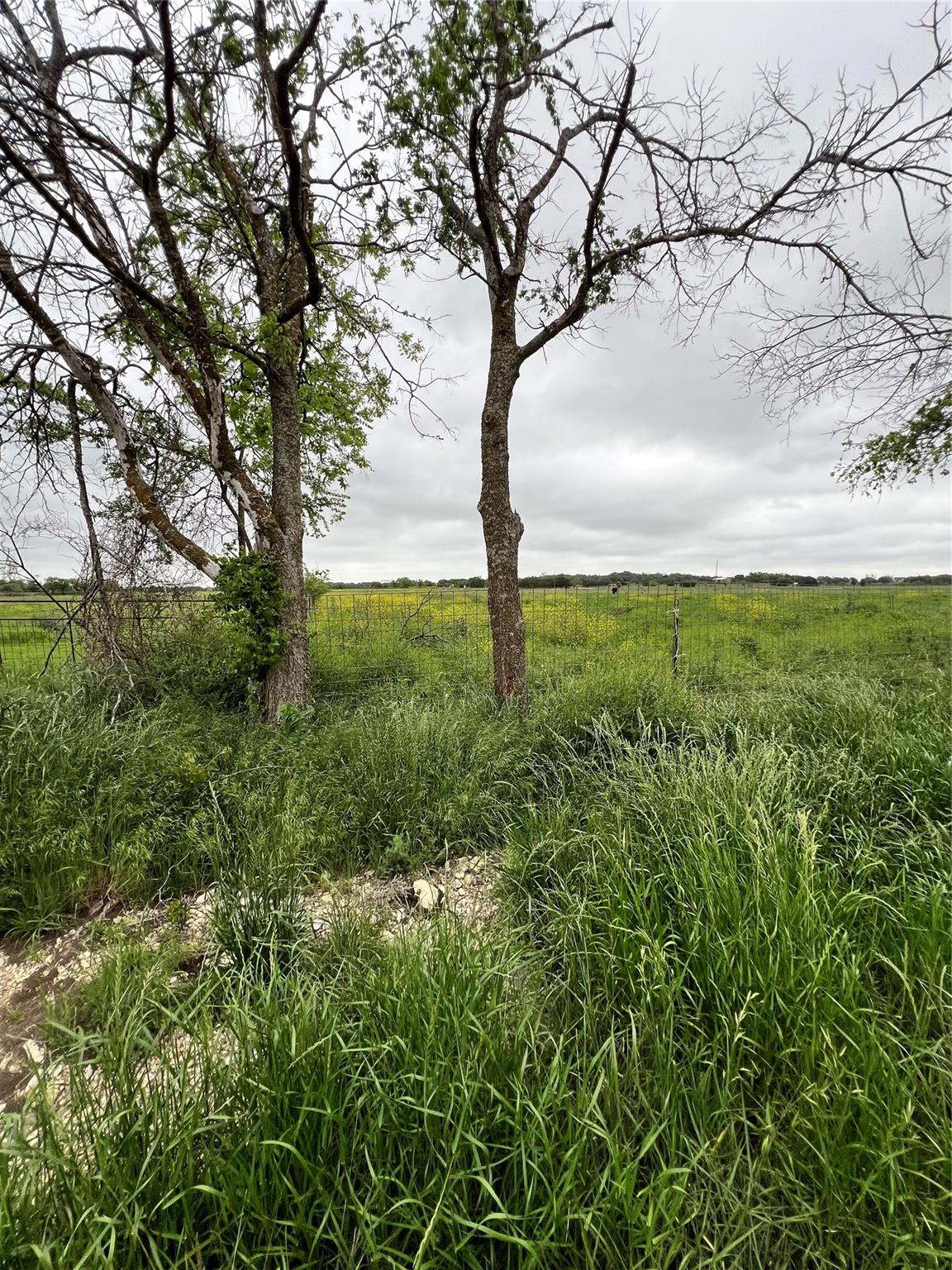 Tbd County Rd 219 Property Photo 10