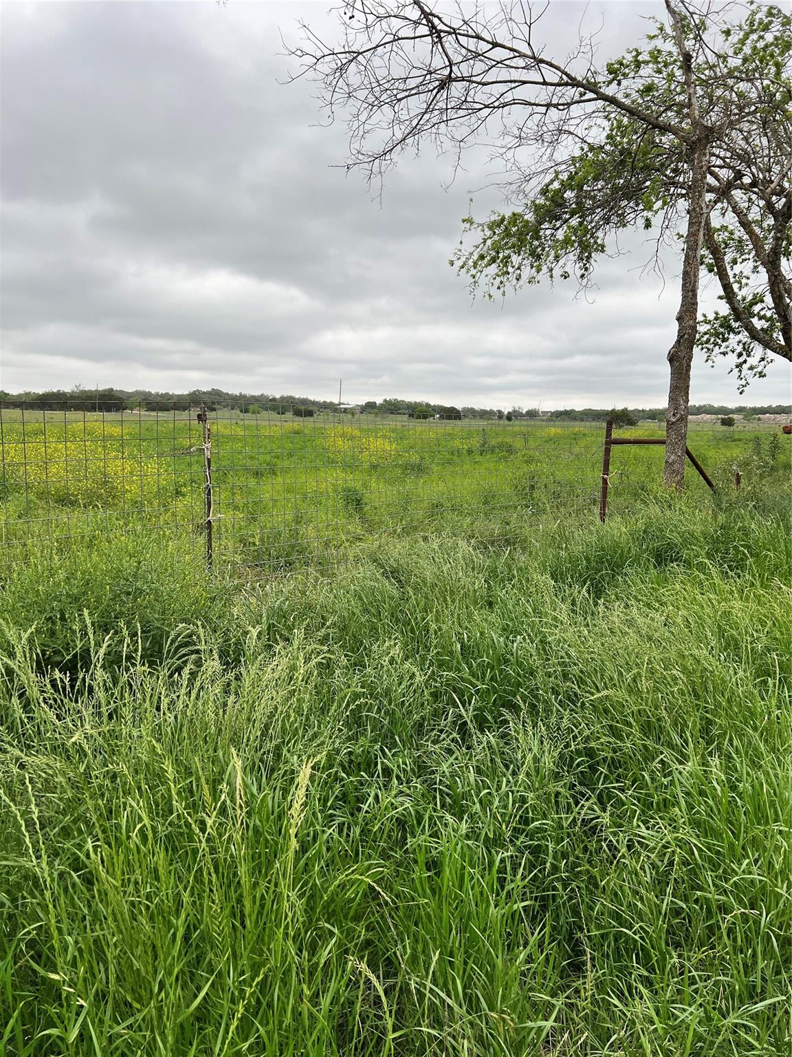 Tbd County Rd 219 Property Photo 11