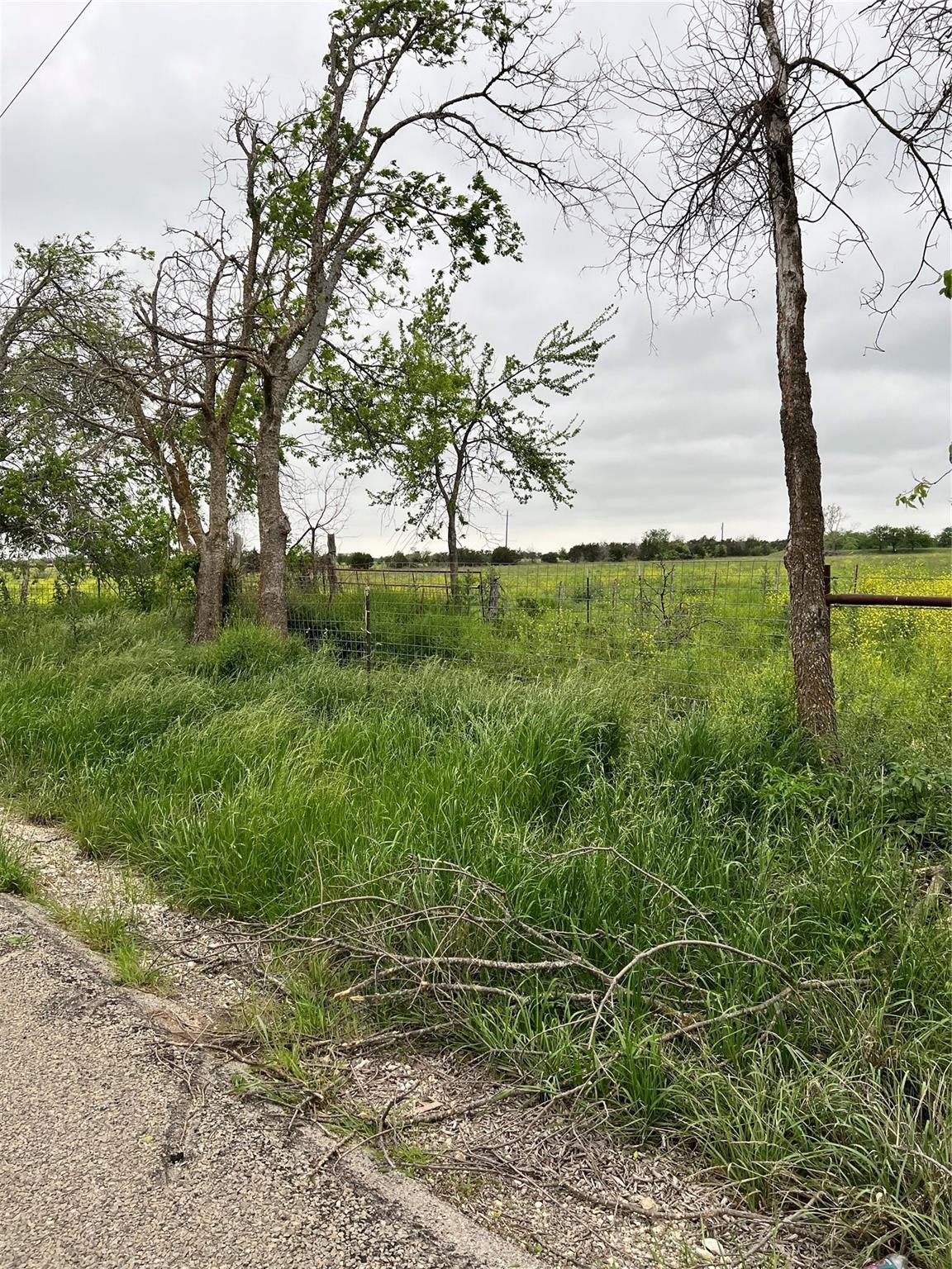 Tbd County Rd 219 Property Photo 12