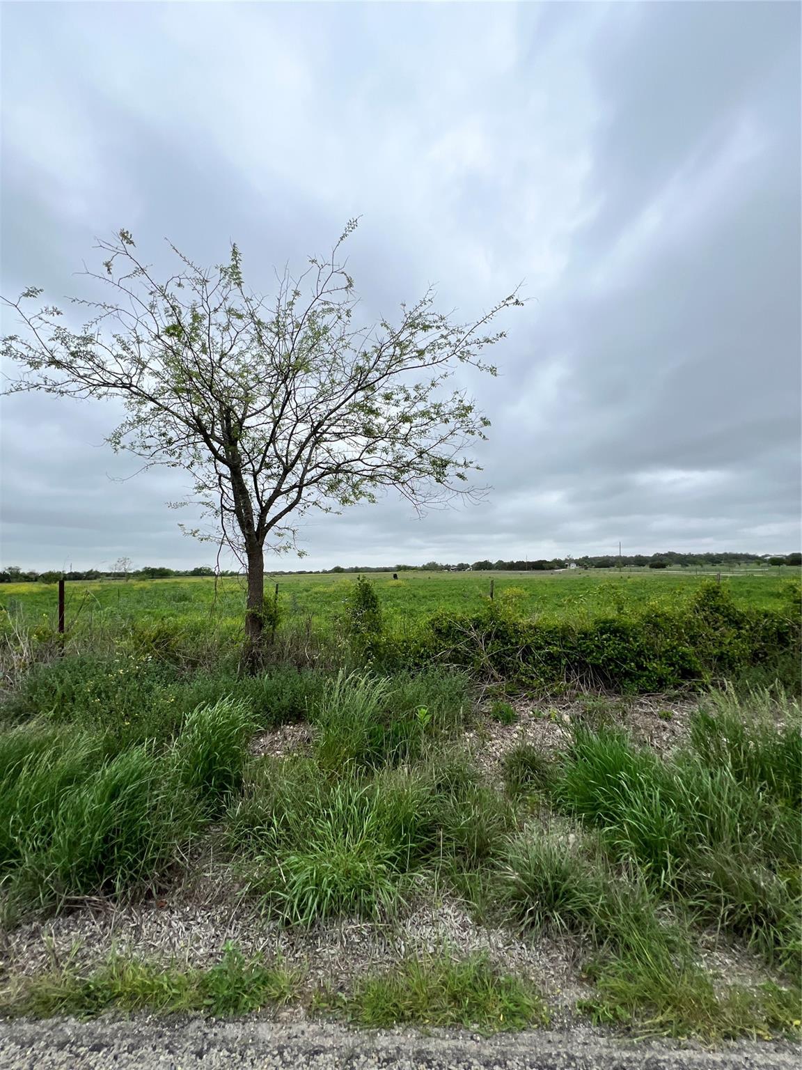 Tbd County Rd 219 Property Photo 13