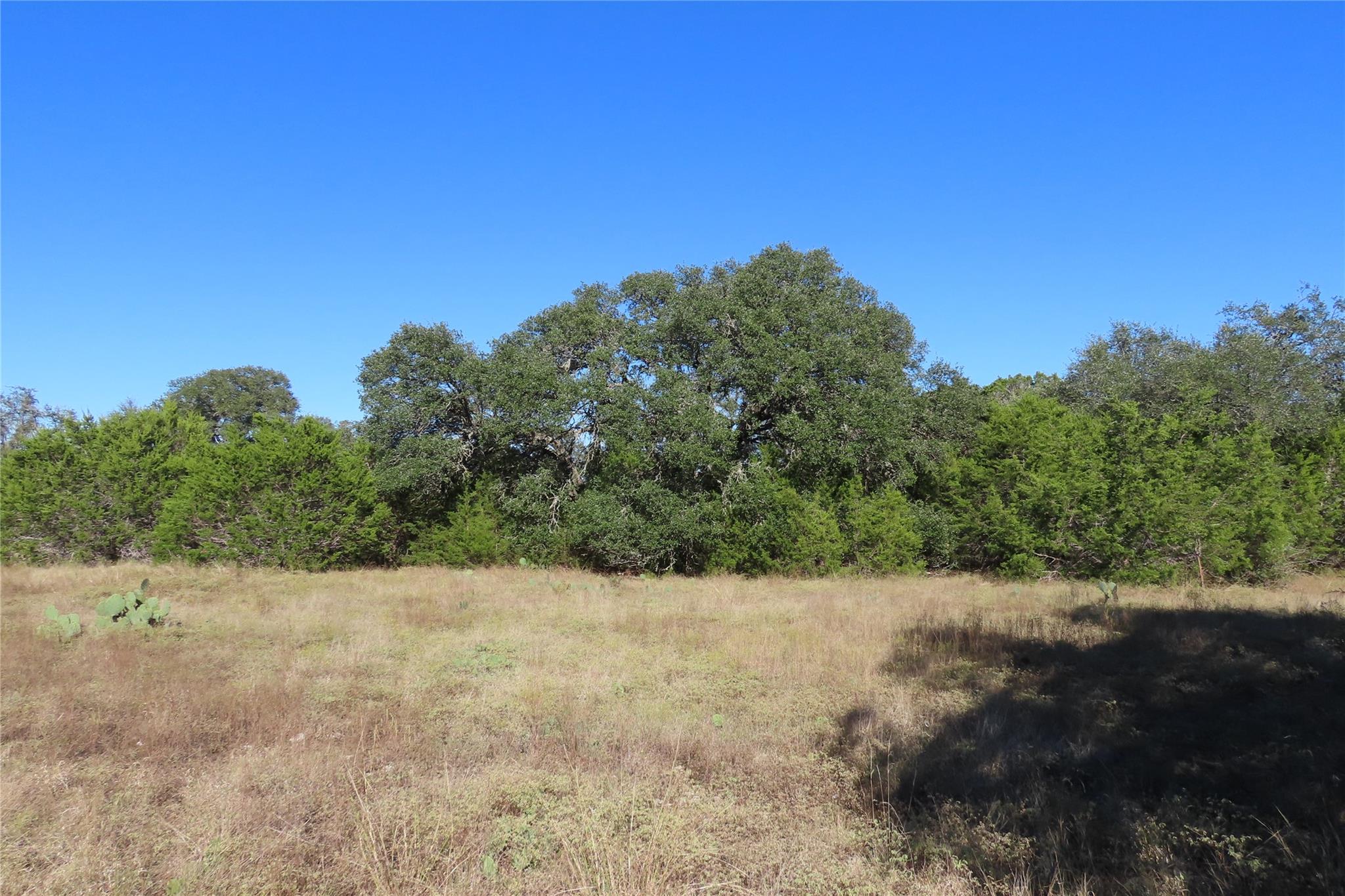 317 Little Gabriel River Dr Property Photo 4