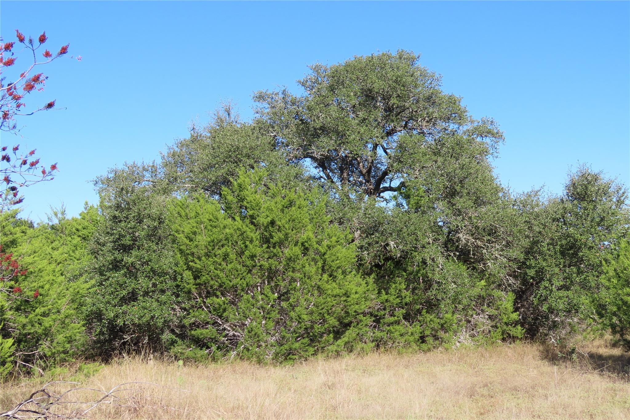 317 Little Gabriel River Dr Property Photo 5