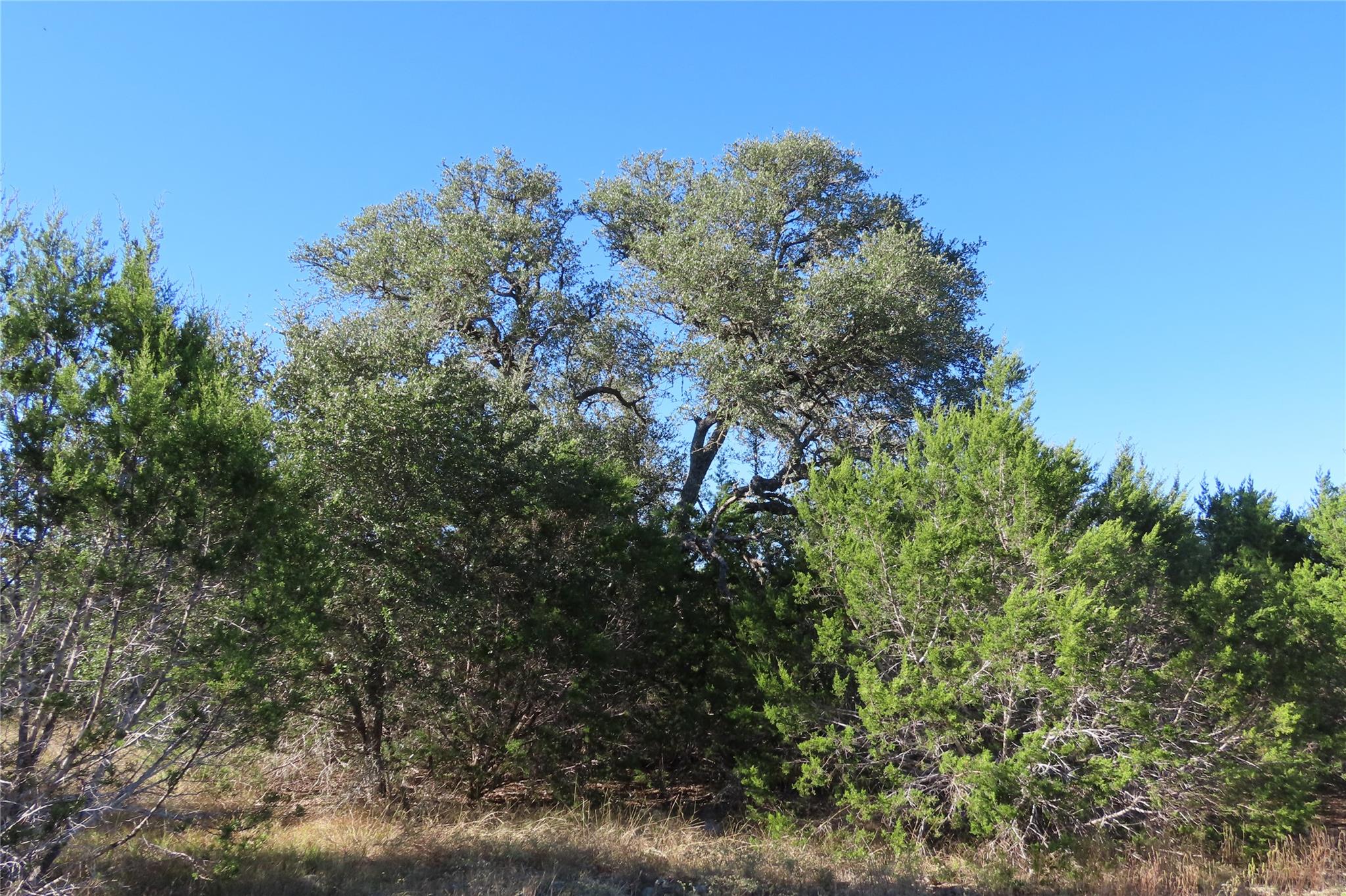 317 Little Gabriel River Dr Property Photo 6