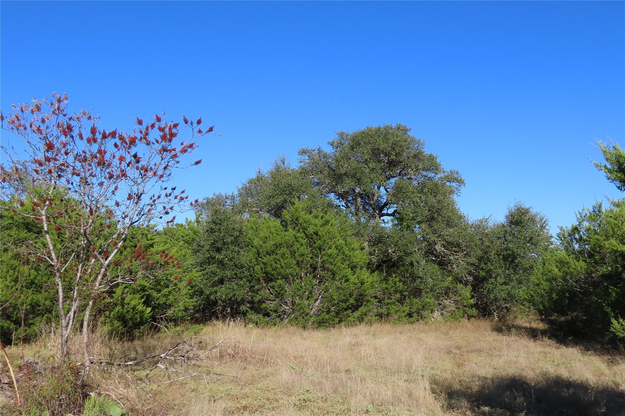 317 Little Gabriel River Dr Property Photo 8