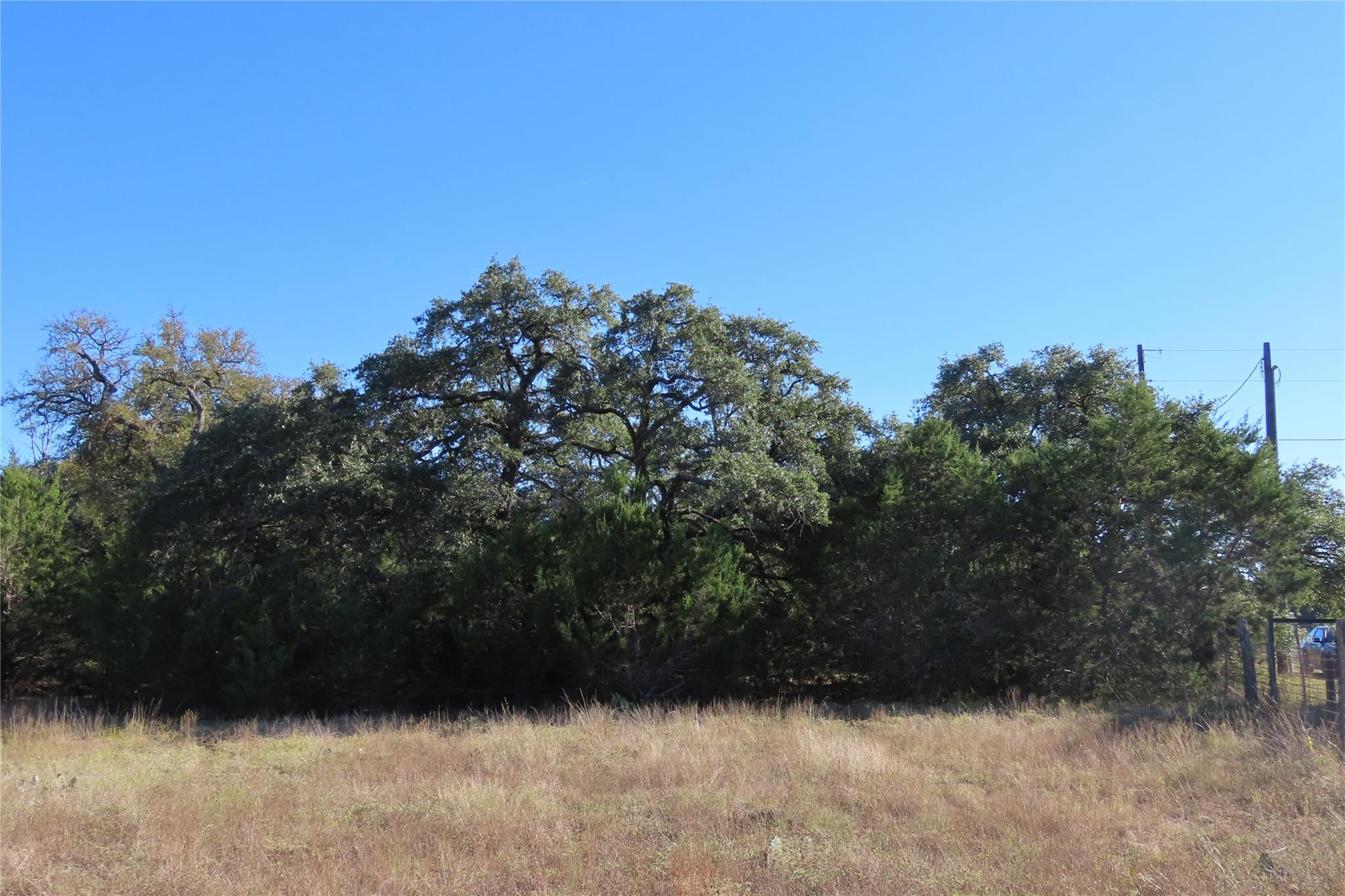 317 Little Gabriel River Dr Property Photo 9