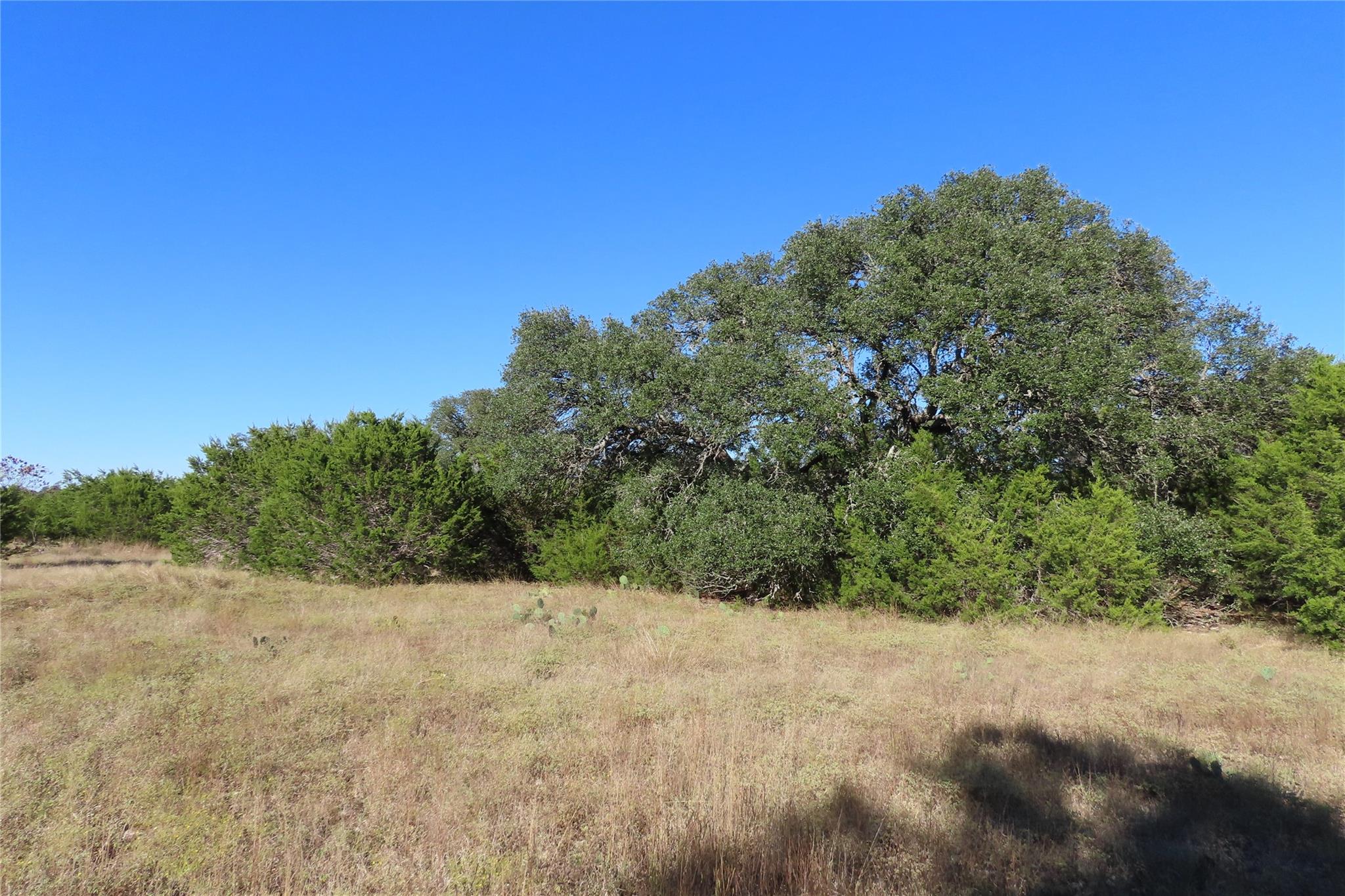 317 Little Gabriel River Dr Property Photo 10