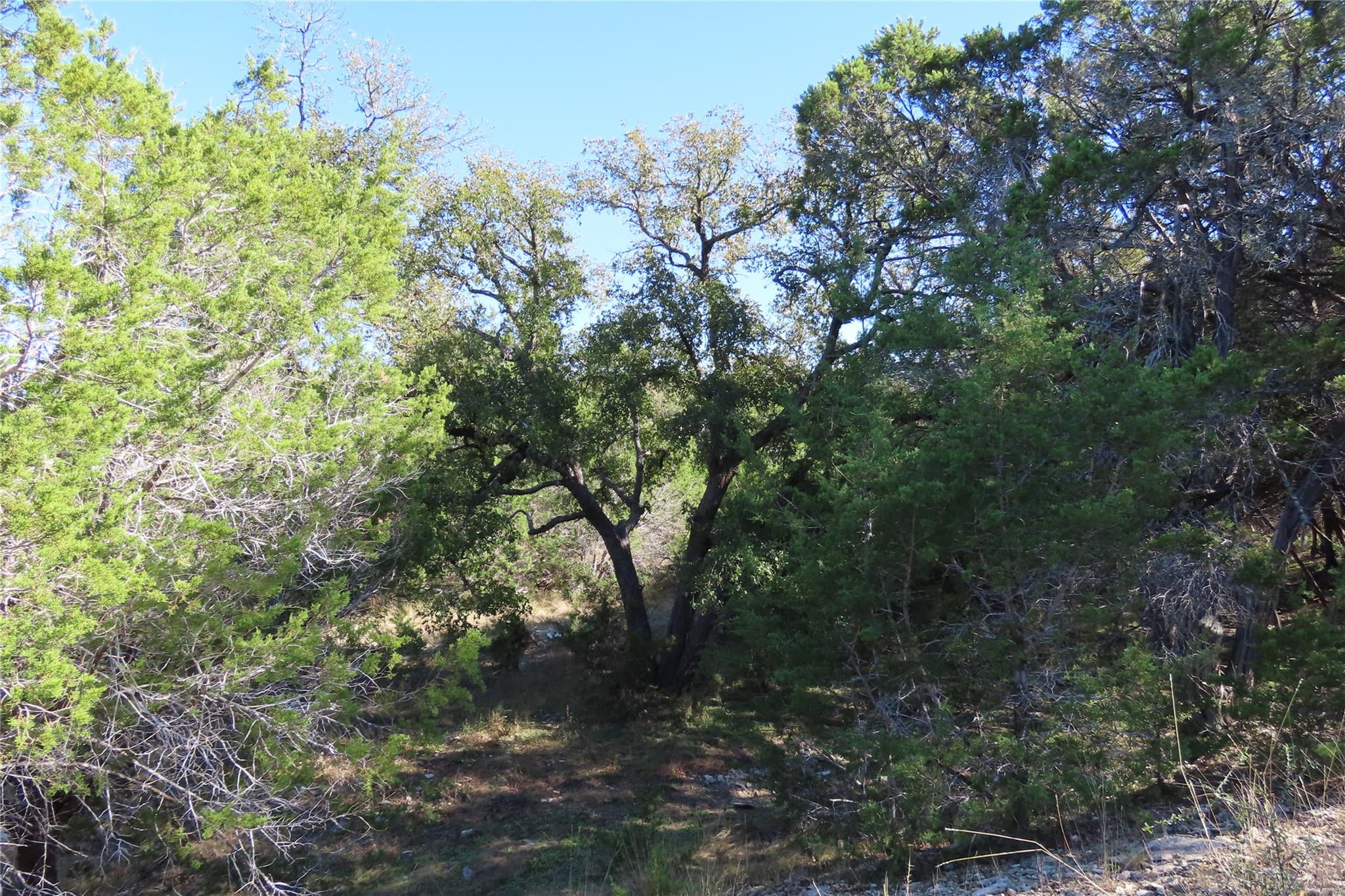 317 Little Gabriel River Dr Property Photo 11