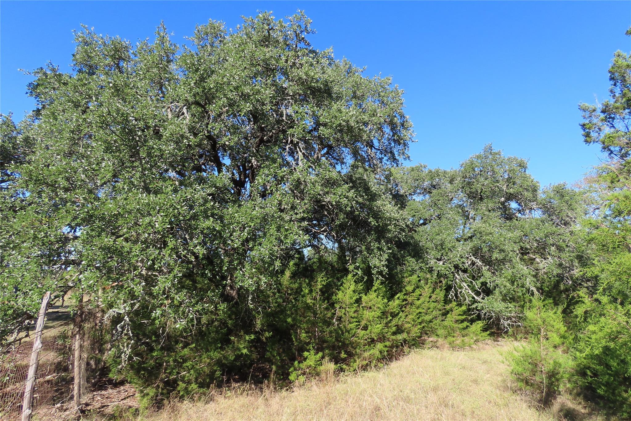 317 Little Gabriel River Dr Property Photo 12