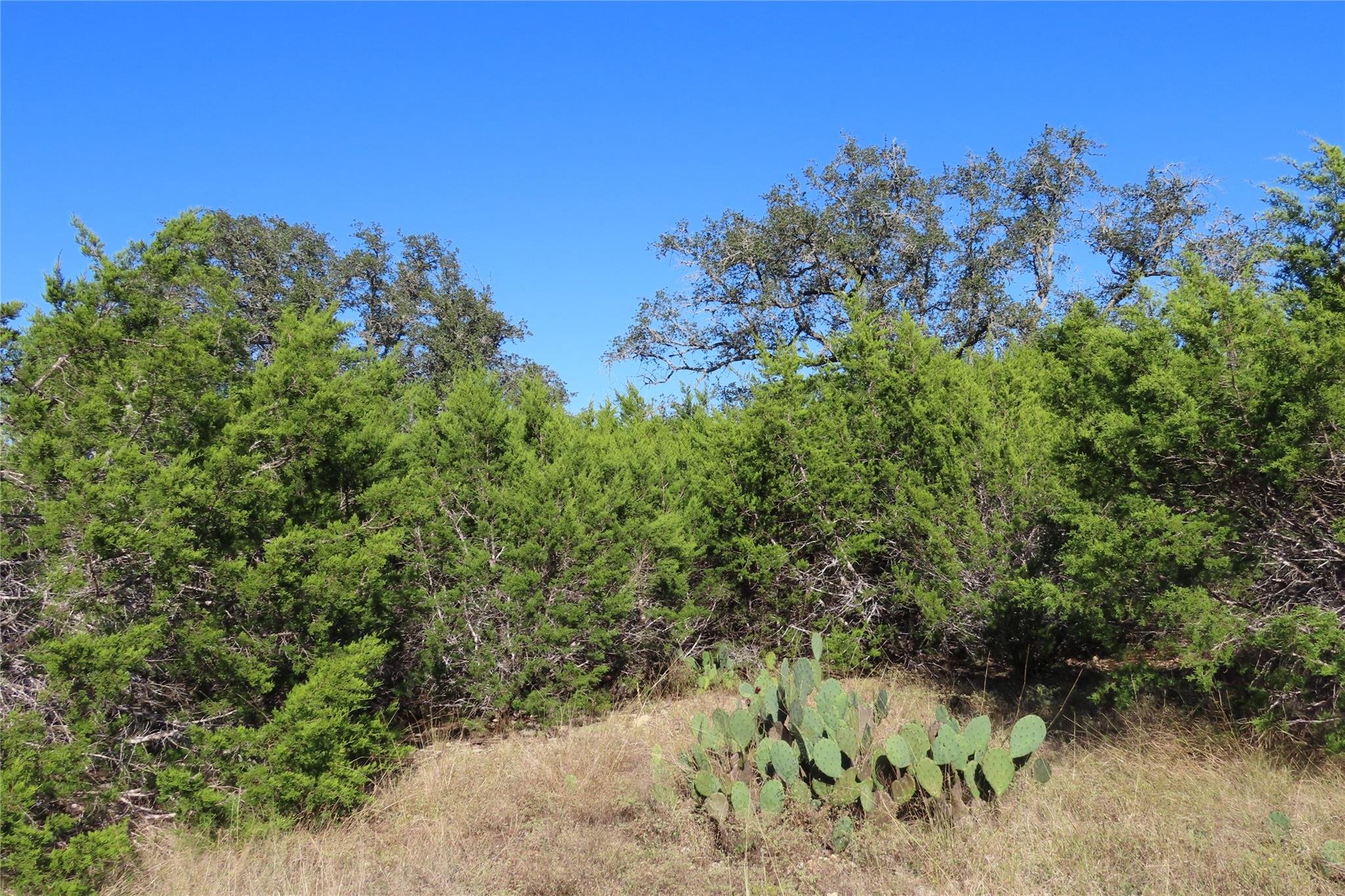 317 Little Gabriel River Dr Property Photo 13