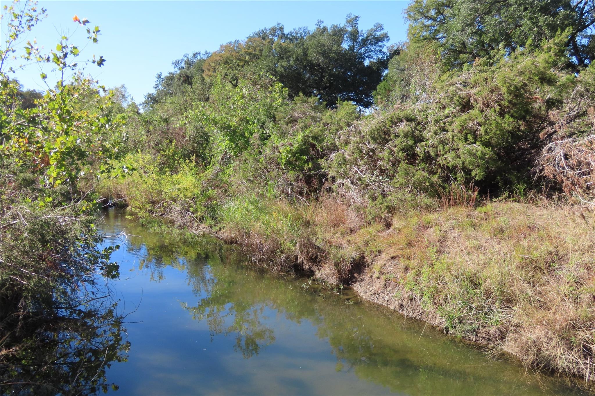 317 Little Gabriel River Dr Property Photo 14