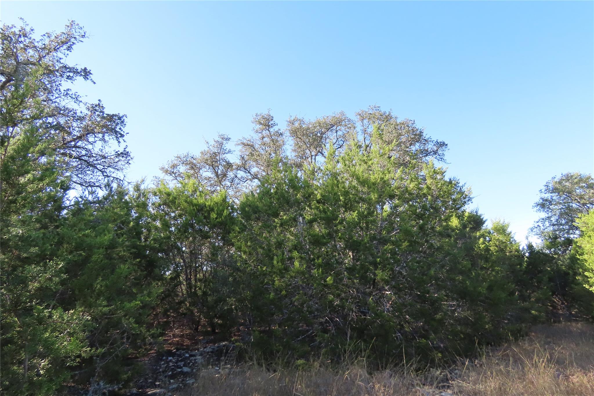 317 Little Gabriel River Dr Property Photo 16