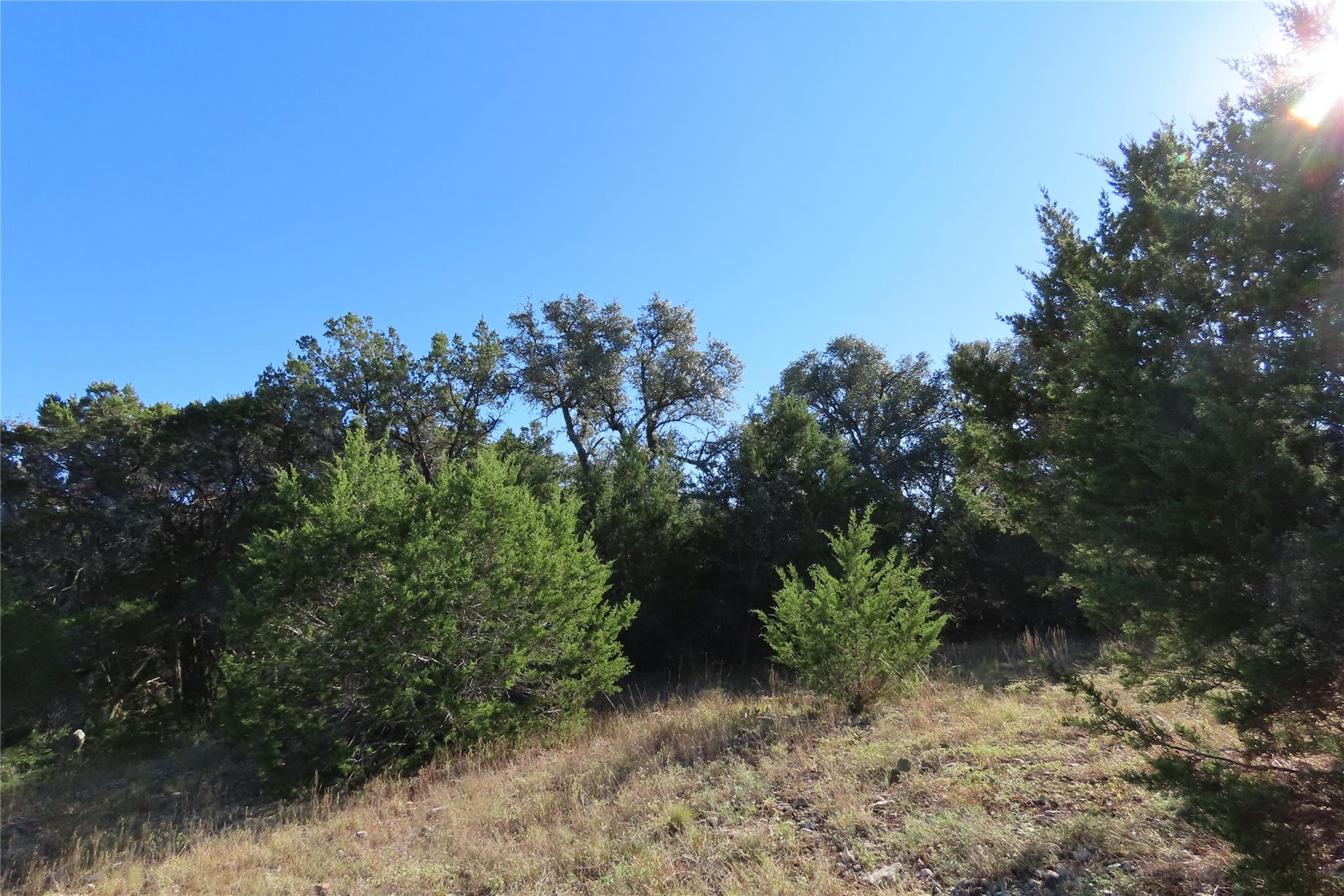 317 Little Gabriel River Dr Property Photo 17