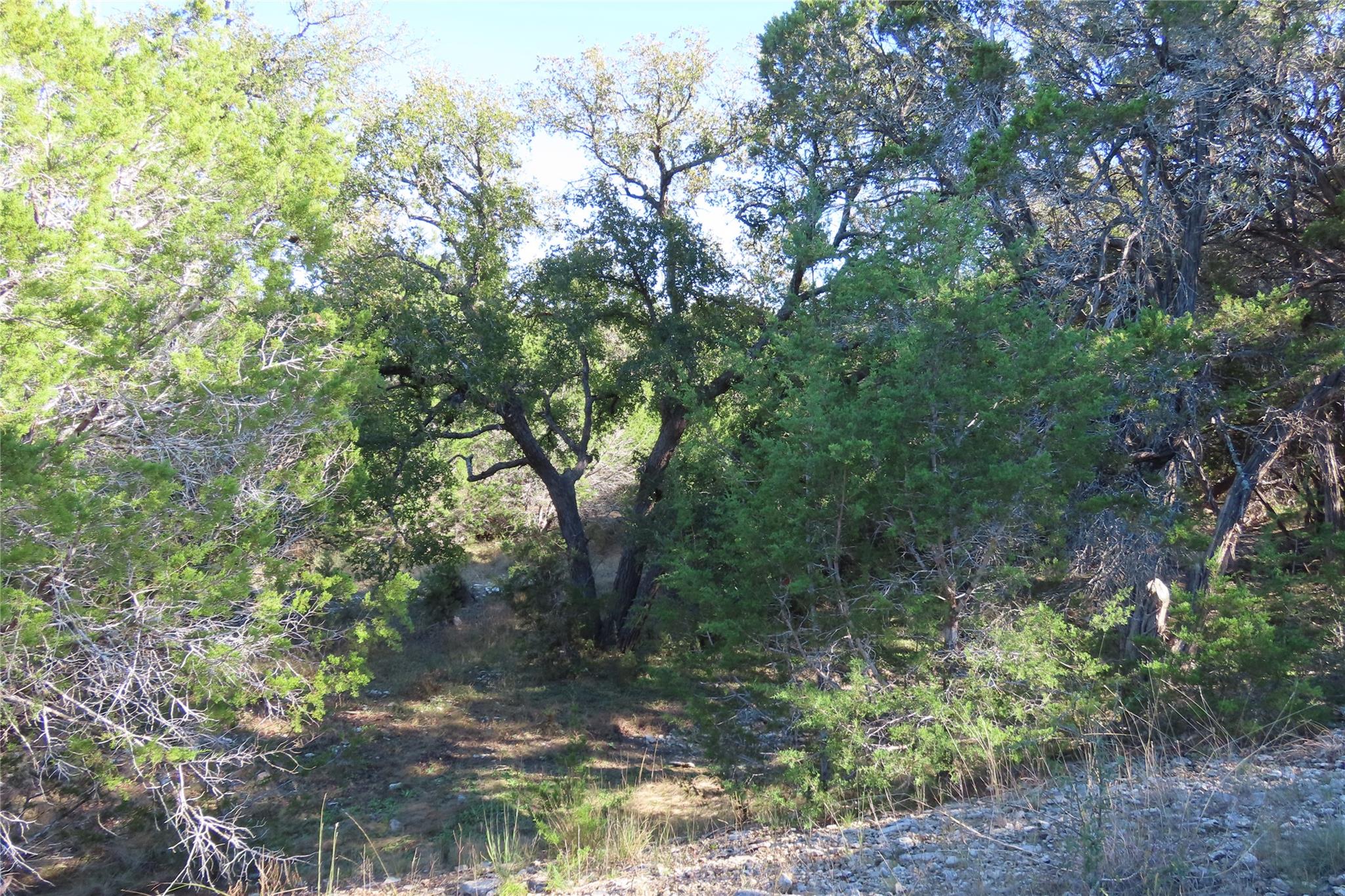 317 Little Gabriel River Dr Property Photo 18