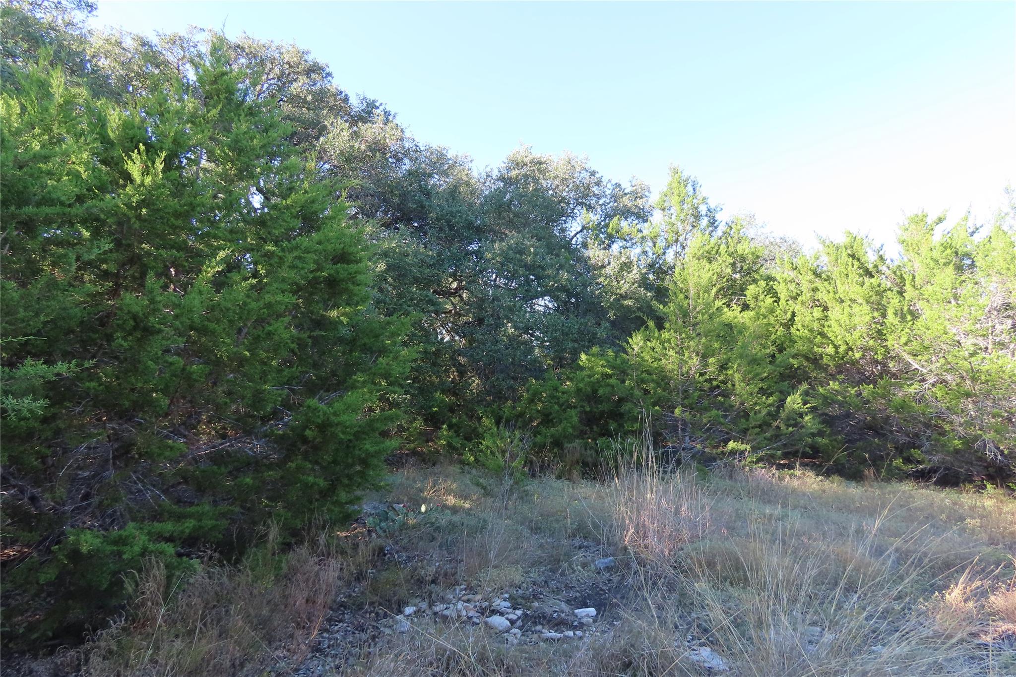 317 Little Gabriel River Dr Property Photo 19