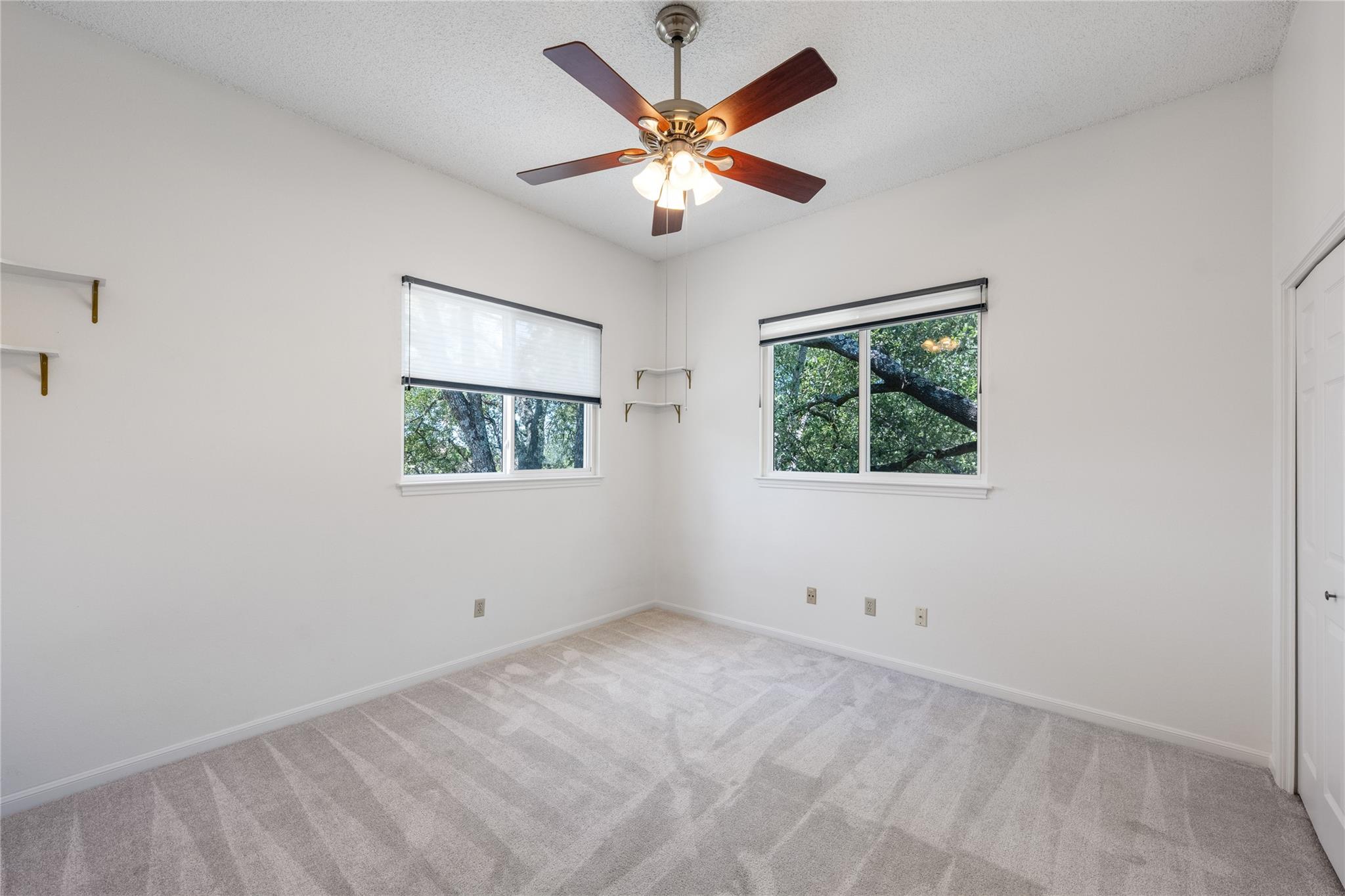 7203 Desert Rose Cv Property Photo 11
