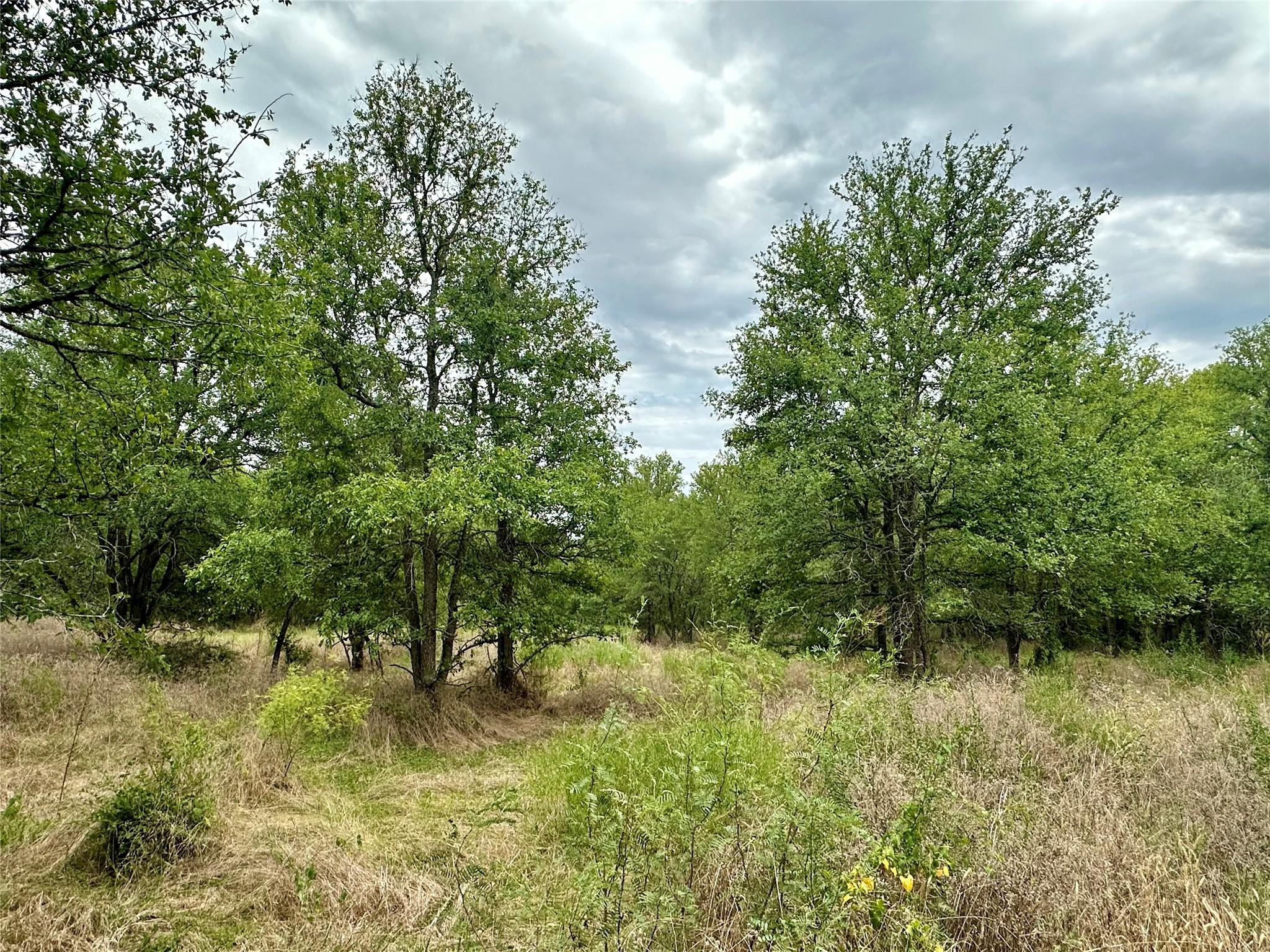 0 Decker Lake Rd Property Photo 3