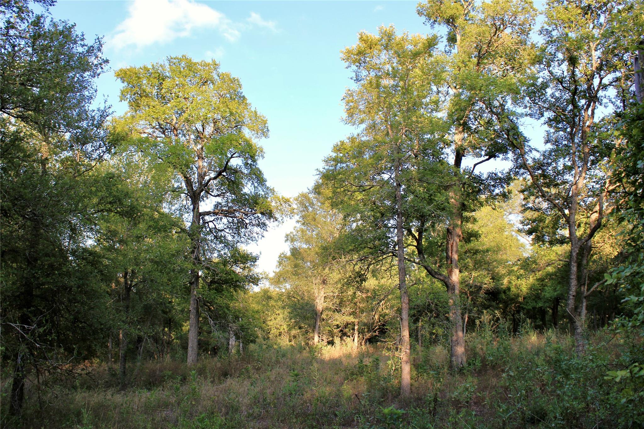0 Decker Lake Rd Property Photo 6