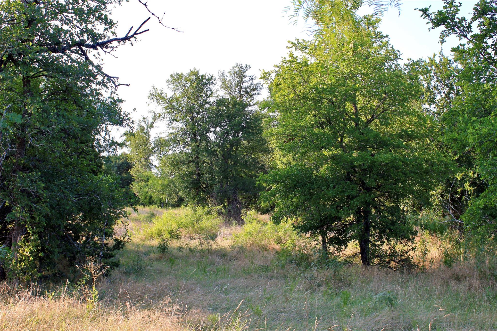 0 Decker Lake Rd Property Photo 7