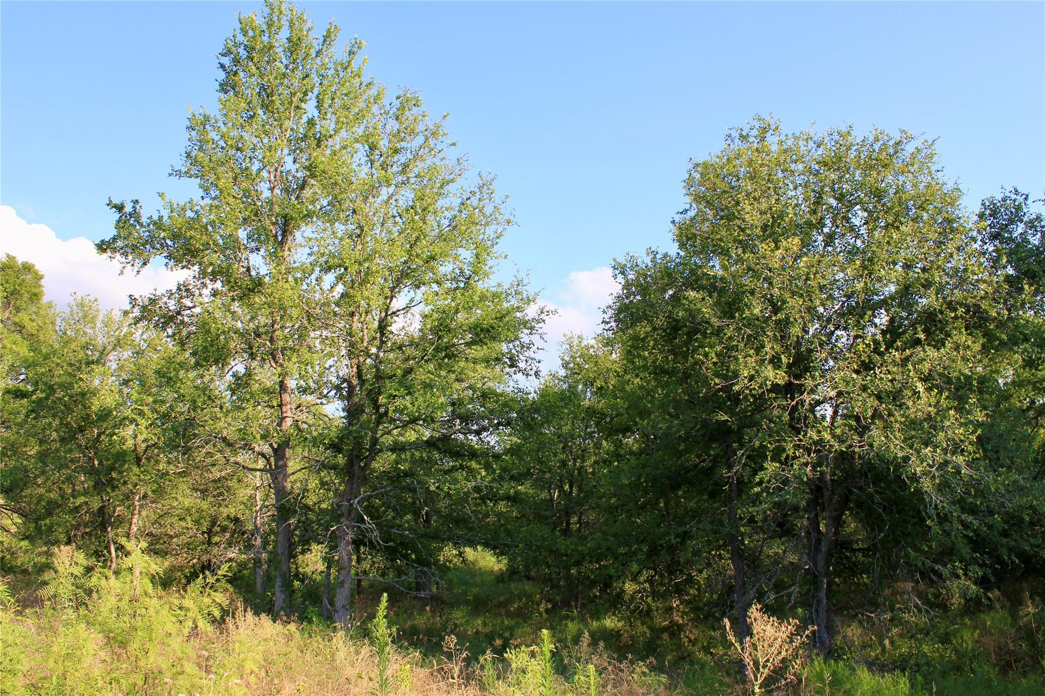 0 Decker Lake Rd Property Photo 9