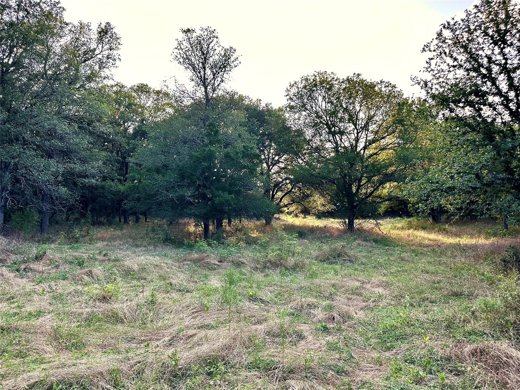 0 Decker Lake Rd Property Photo 11
