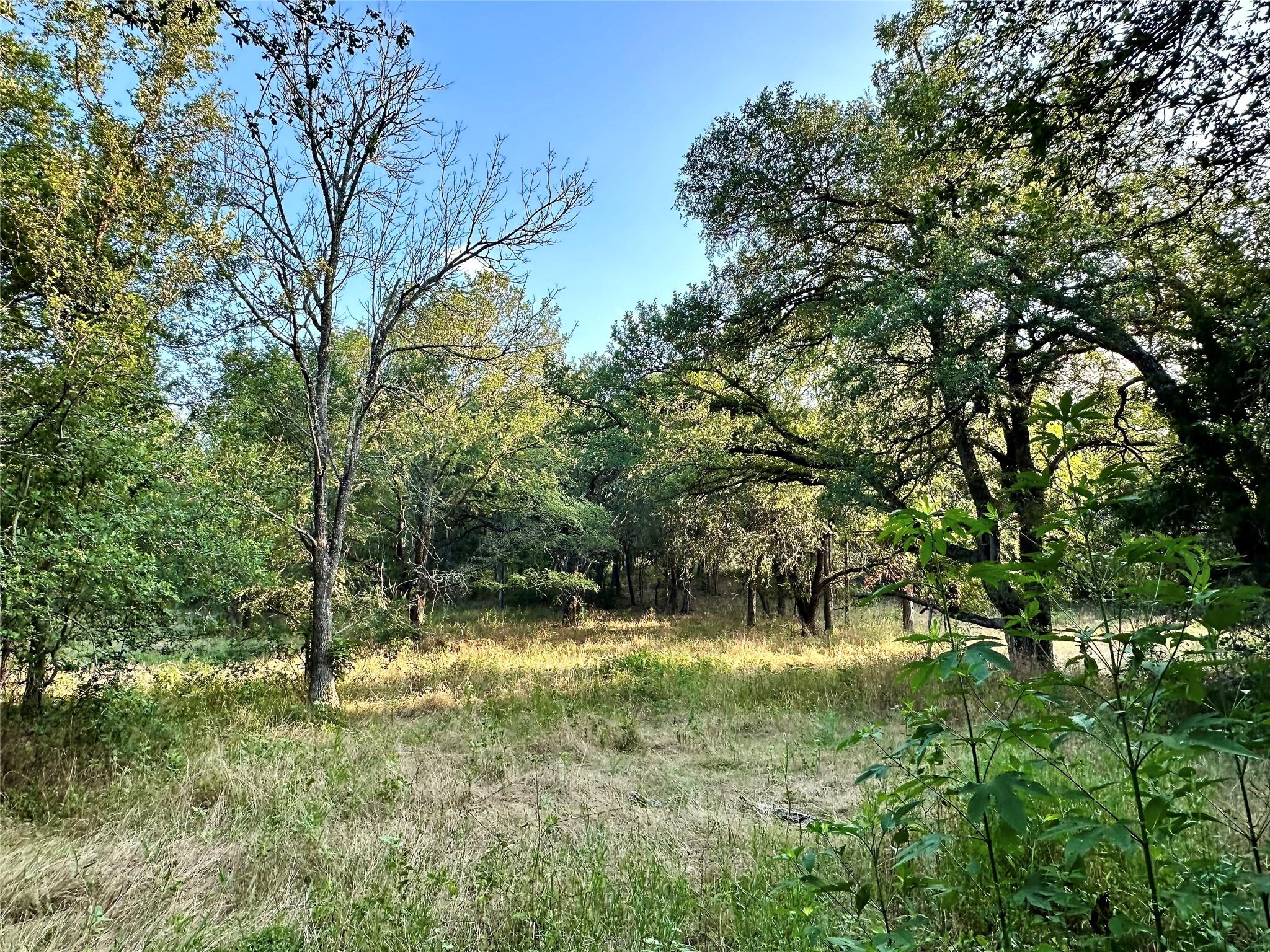 0 Decker Lake Rd Property Photo 12