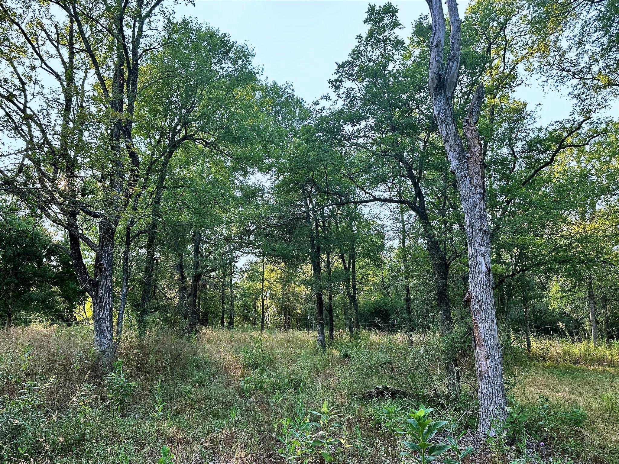 0 Decker Lake Rd Property Photo 13