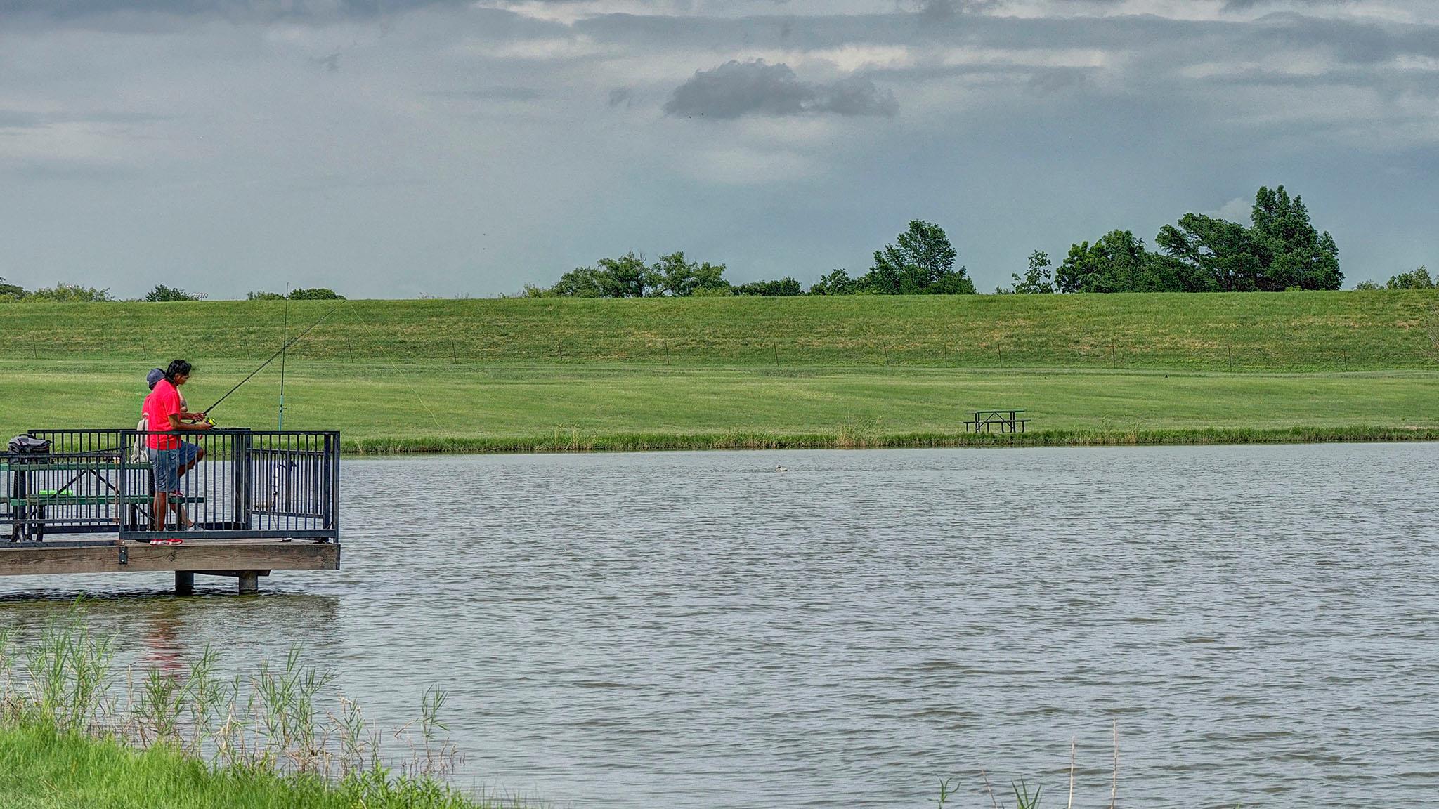 444 Prickly Poppy Loop Property Photo 31