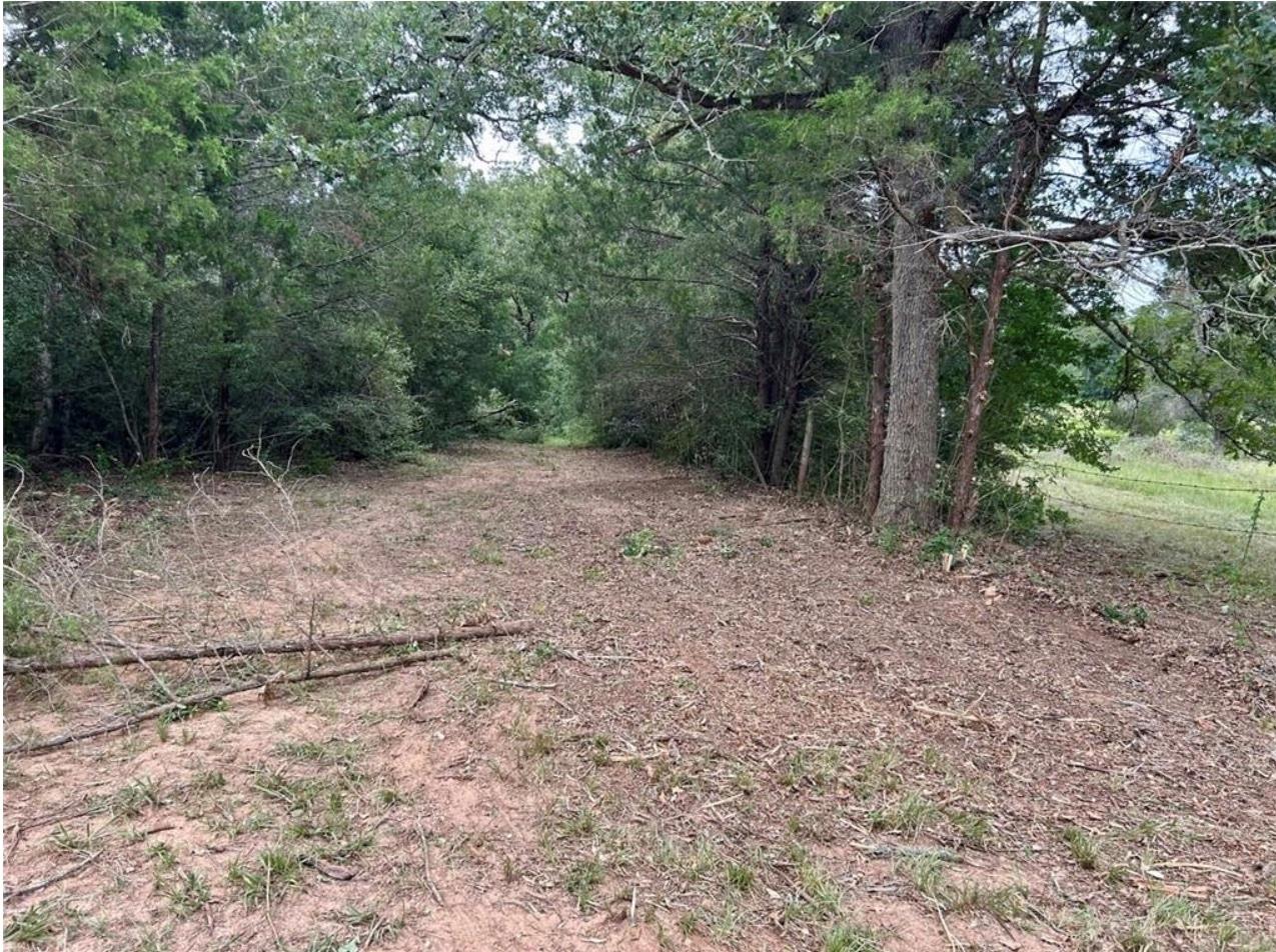 1073 Creekside Ln Property Photo 4