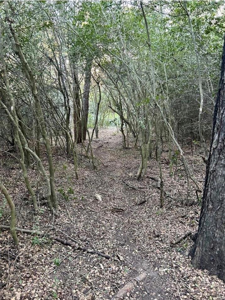 1073 Creekside Ln Property Photo 5