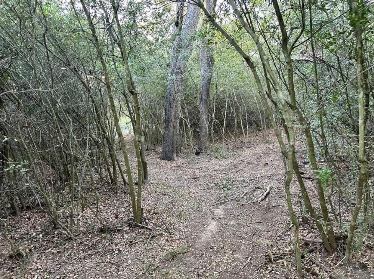 1073 Creekside Ln Property Photo 6