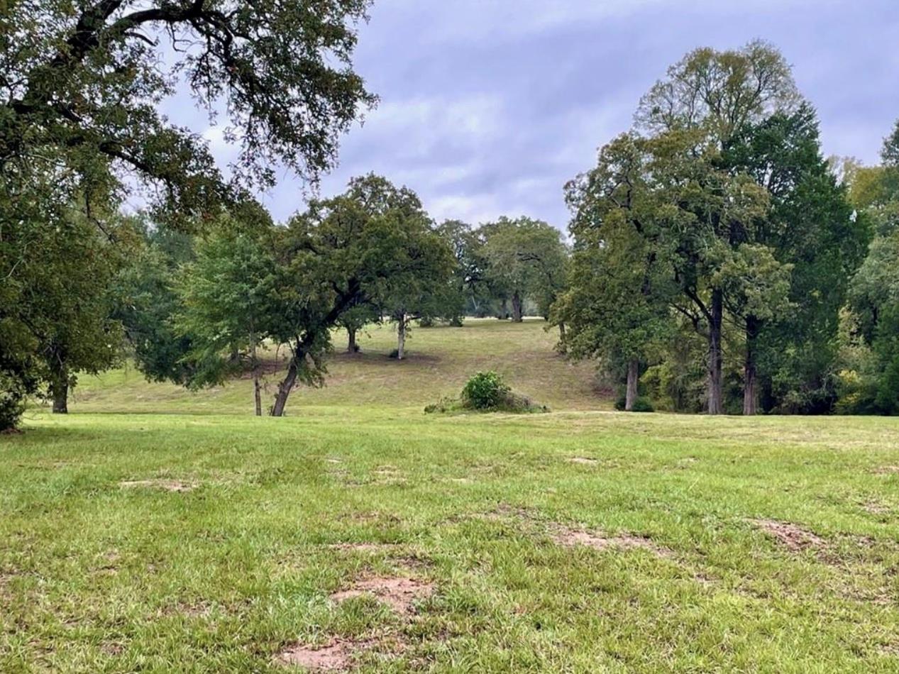 1073 Creekside Ln Property Photo 12