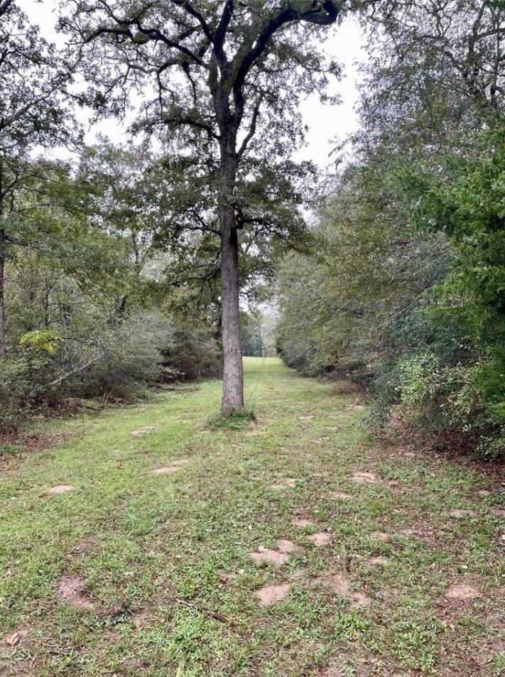 1073 Creekside Ln Property Photo 14